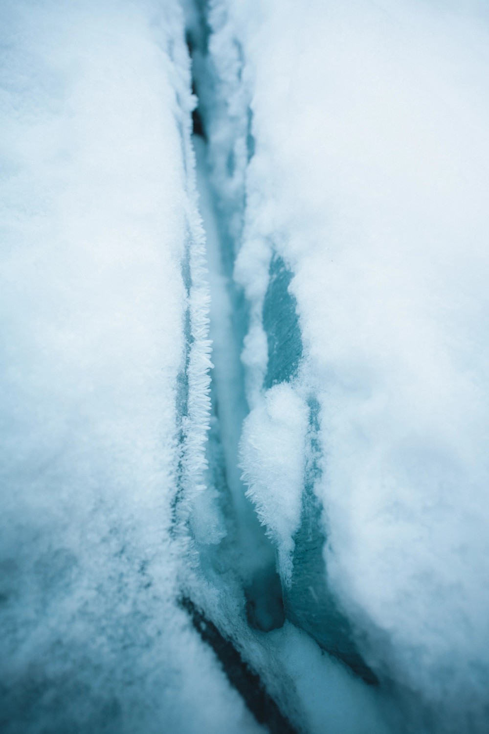 Lake Minewanka Ice Sheets — gallery image