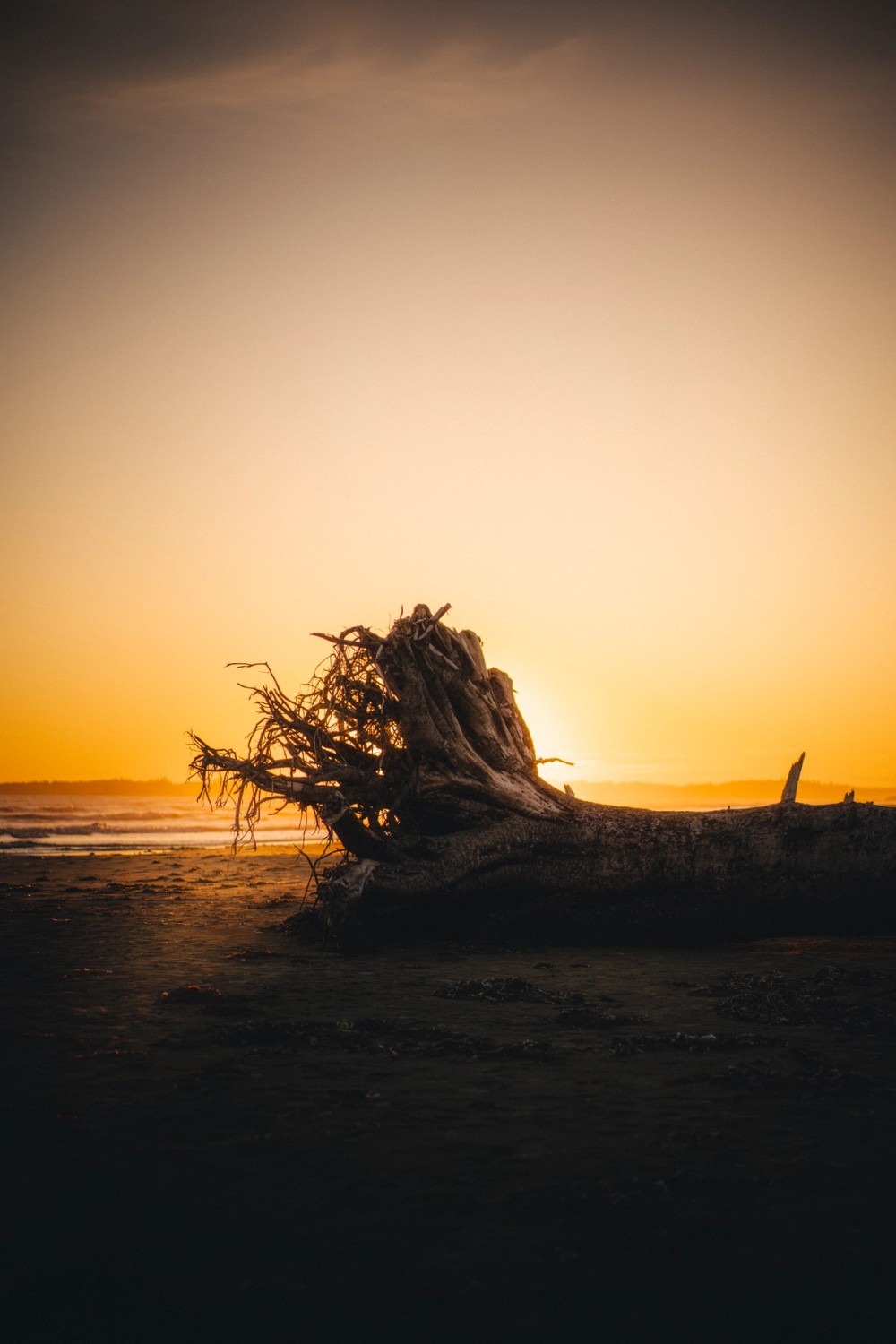 Combers Beach Sunset — gallery image