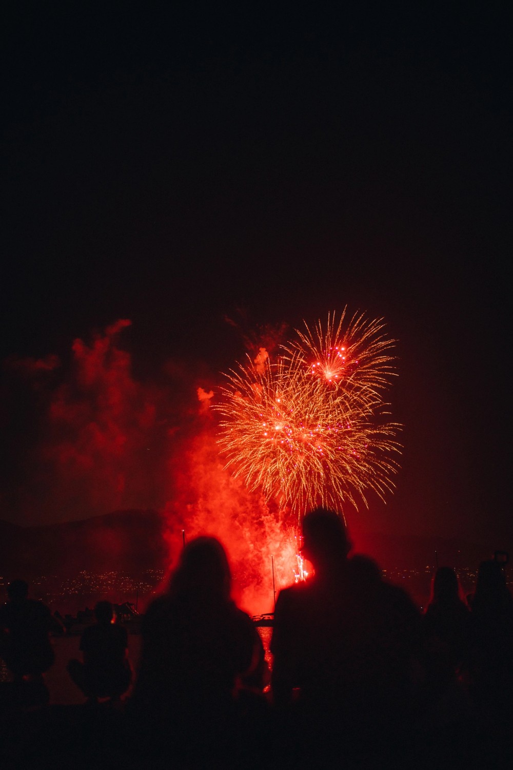 Vancouver Fireworks — gallery image