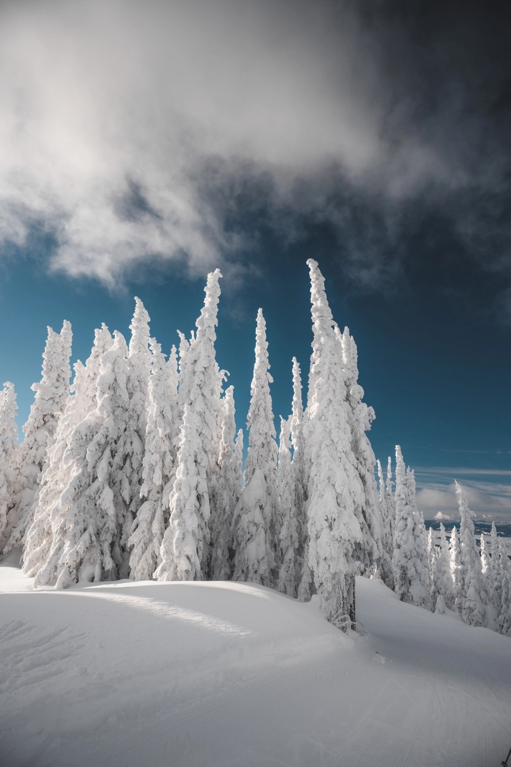Silverstar Village — gallery image