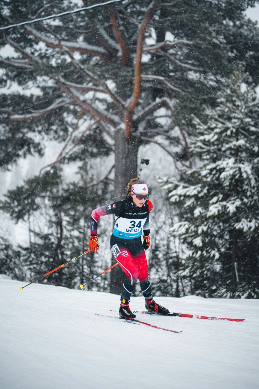 Team Canada Racing — gallery image
