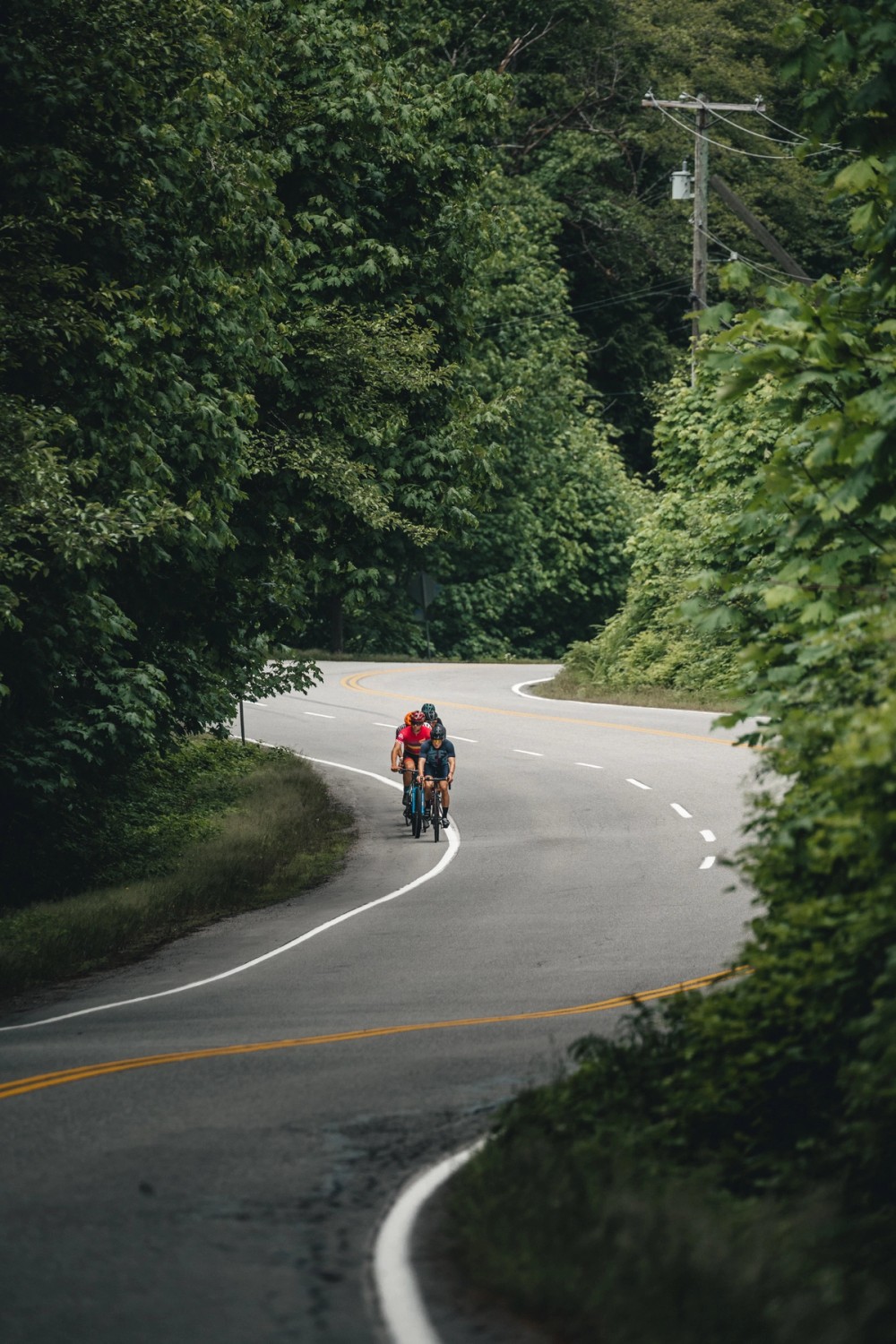 West Coast Bike Trip — gallery image
