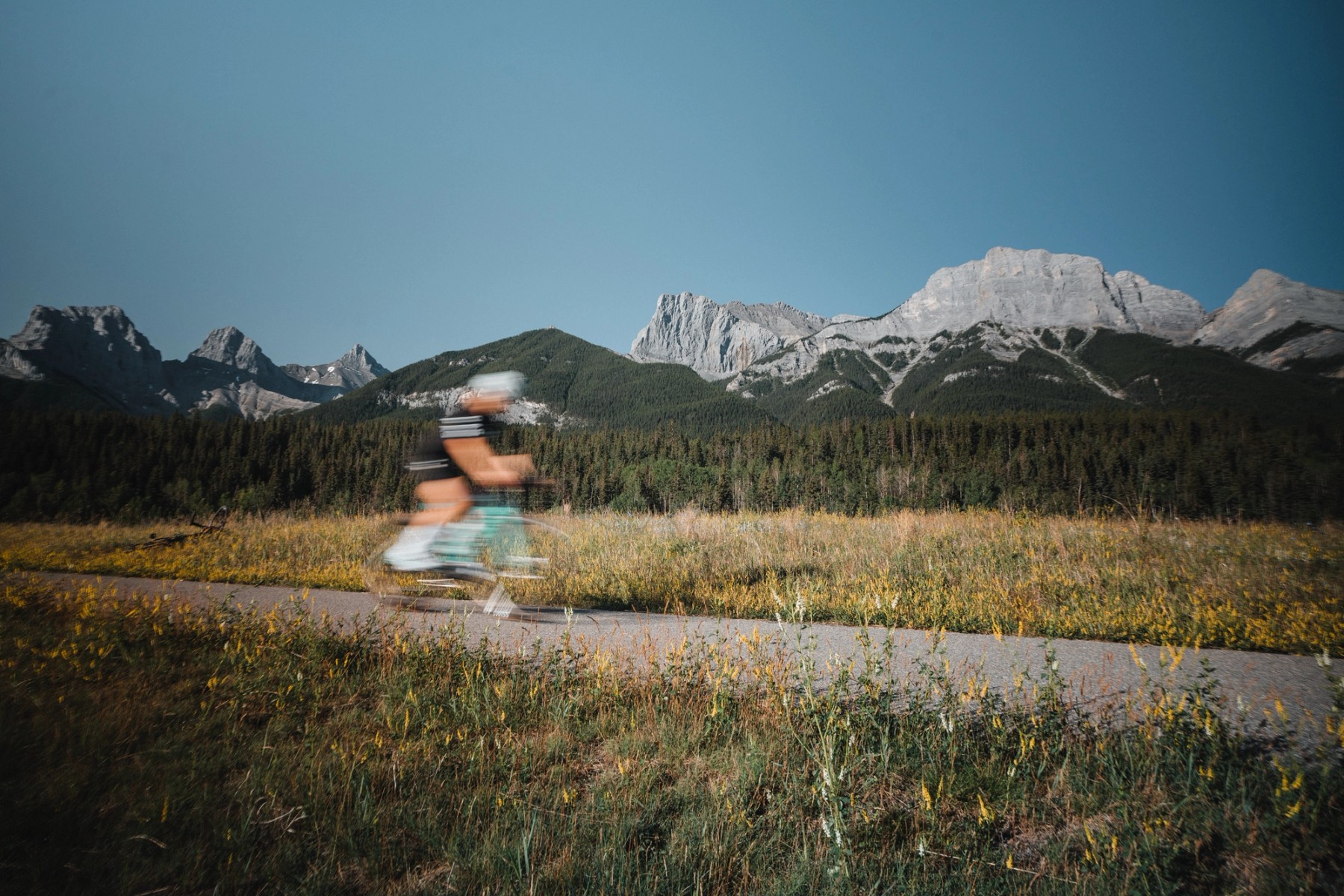4iiii + Gillian Gowling — gallery image