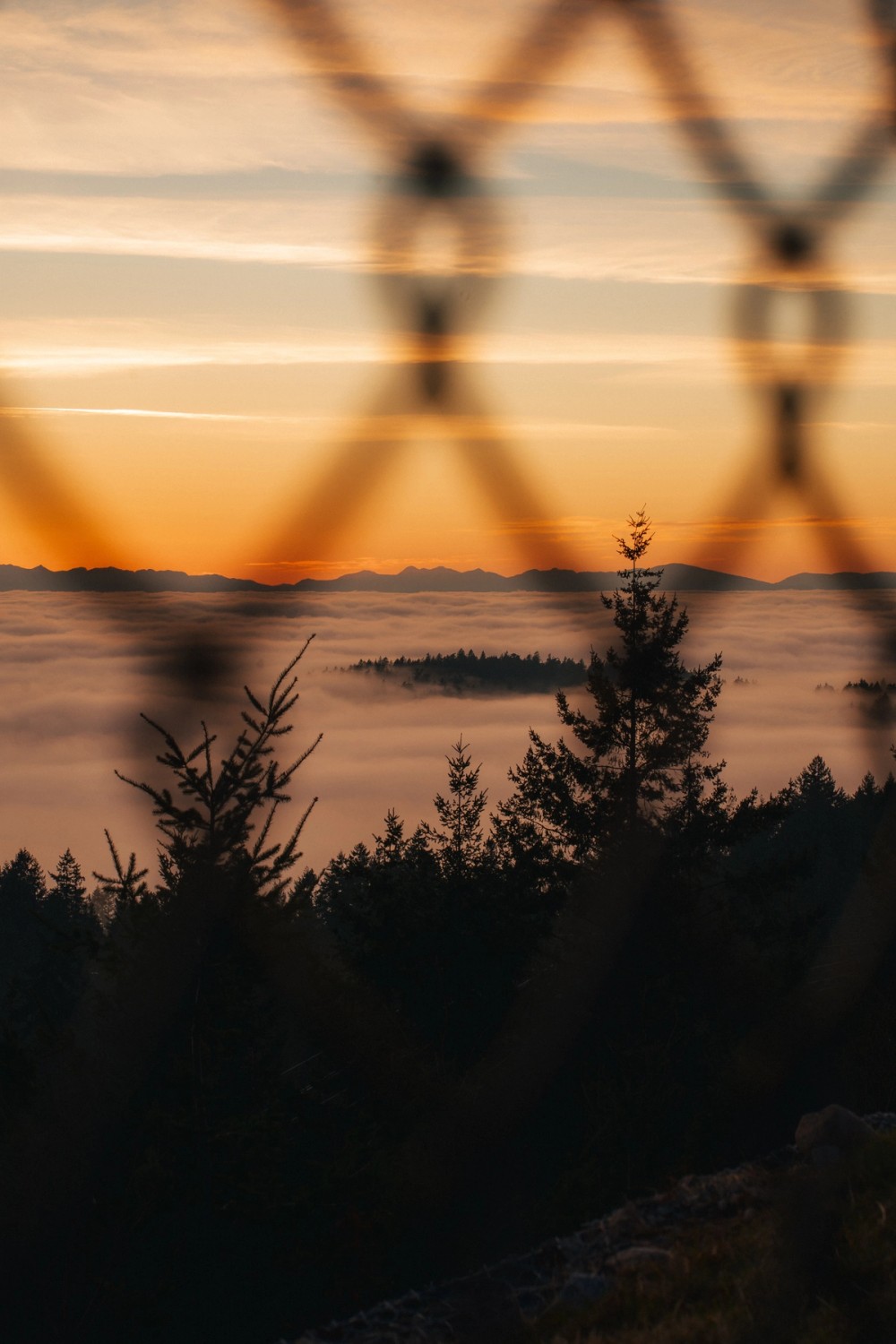 Cypress Lookout Inversion — gallery image