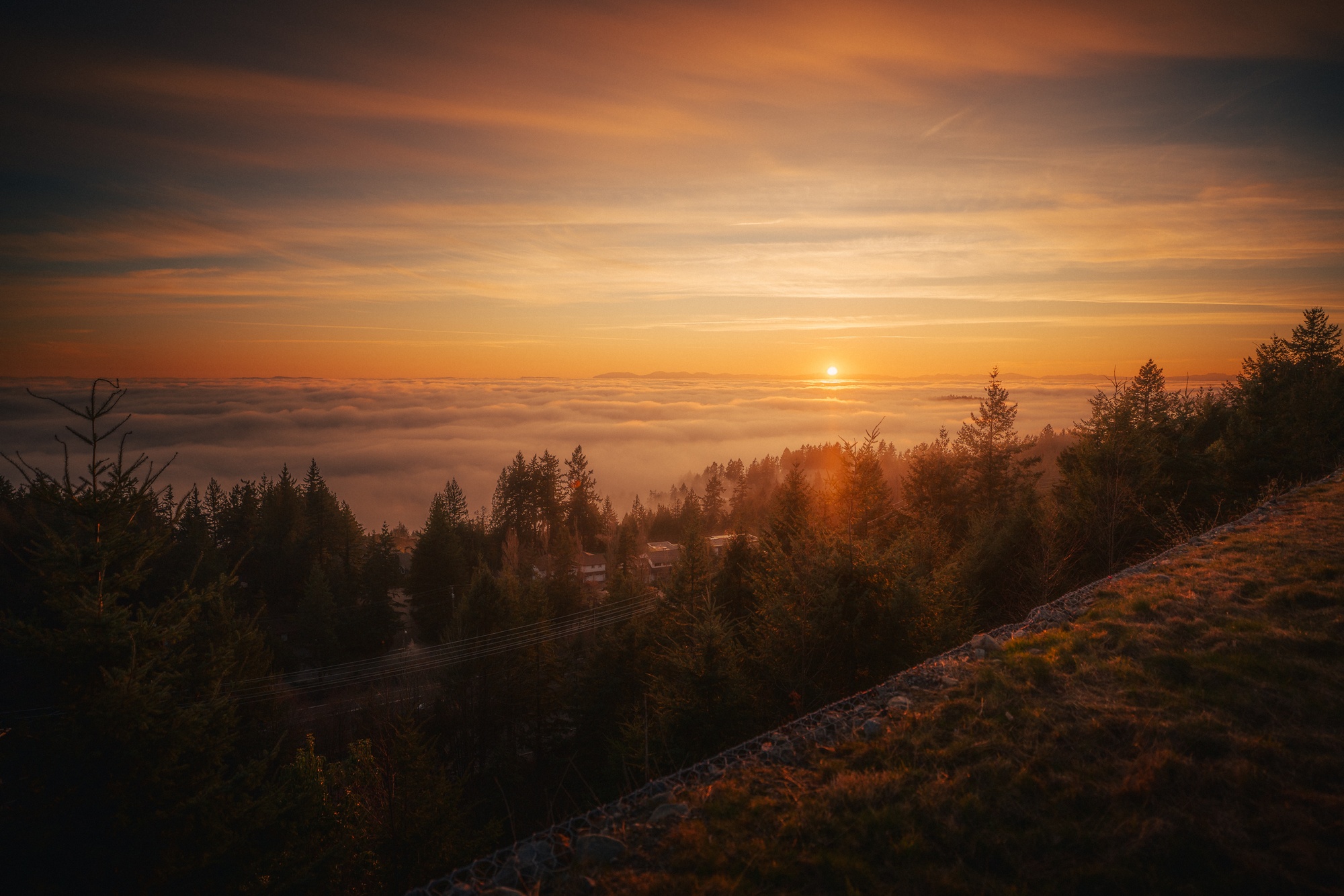 Cypress Lookout Inversion