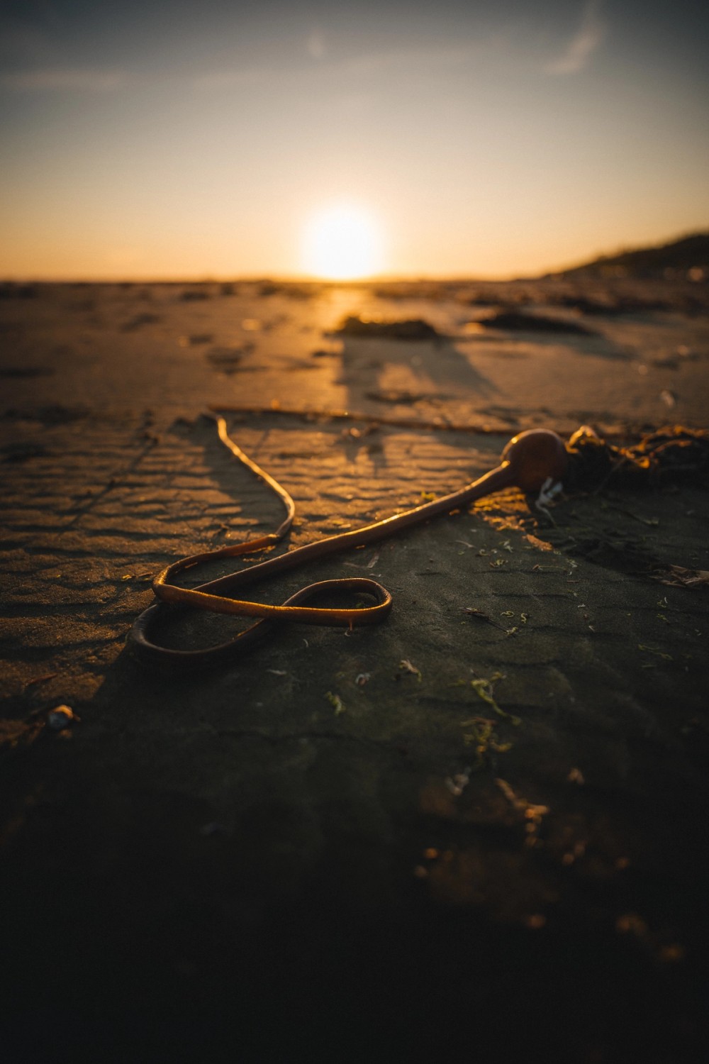 Combers Beach Sunset — gallery image