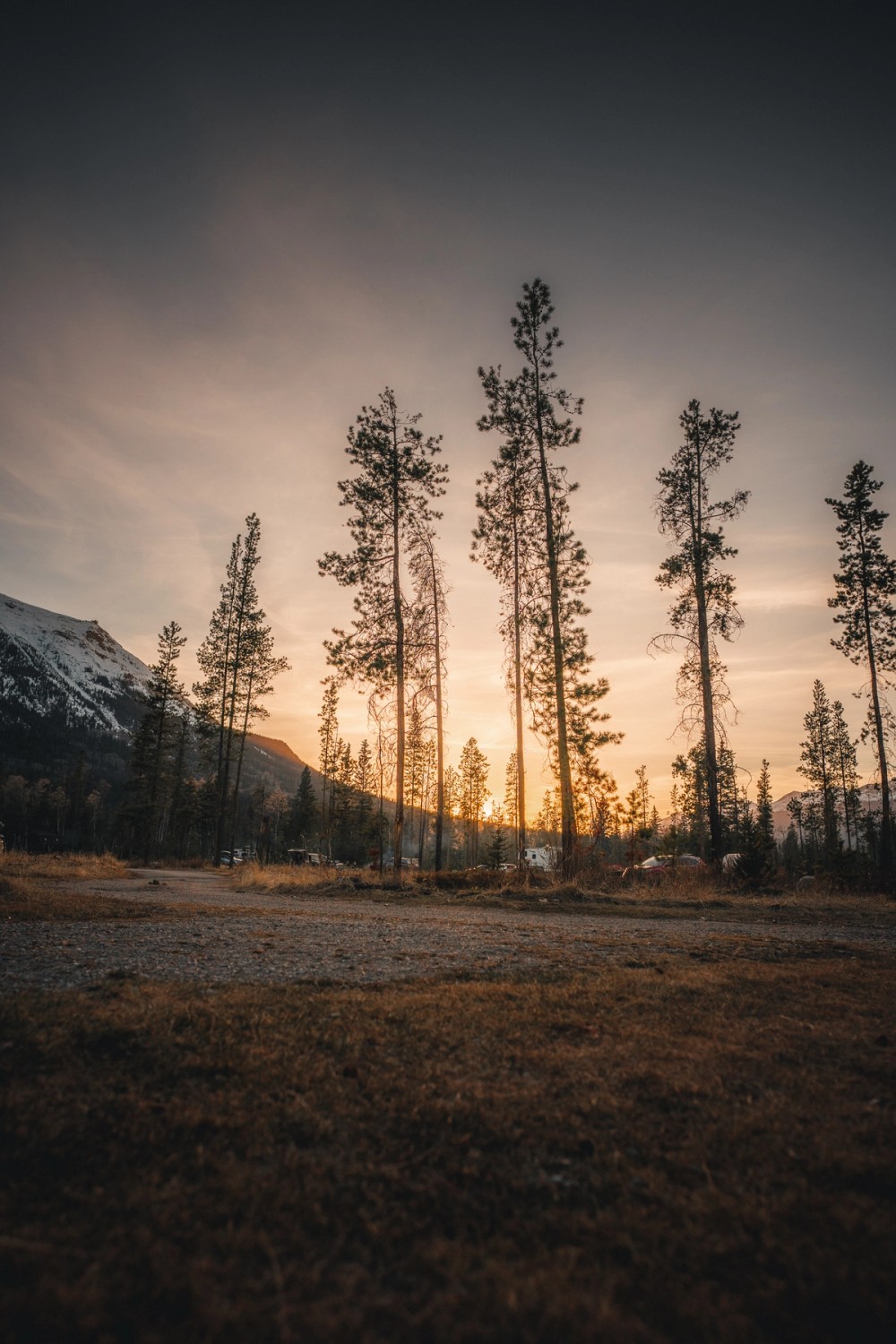 Star Trails Over Jasper — gallery image