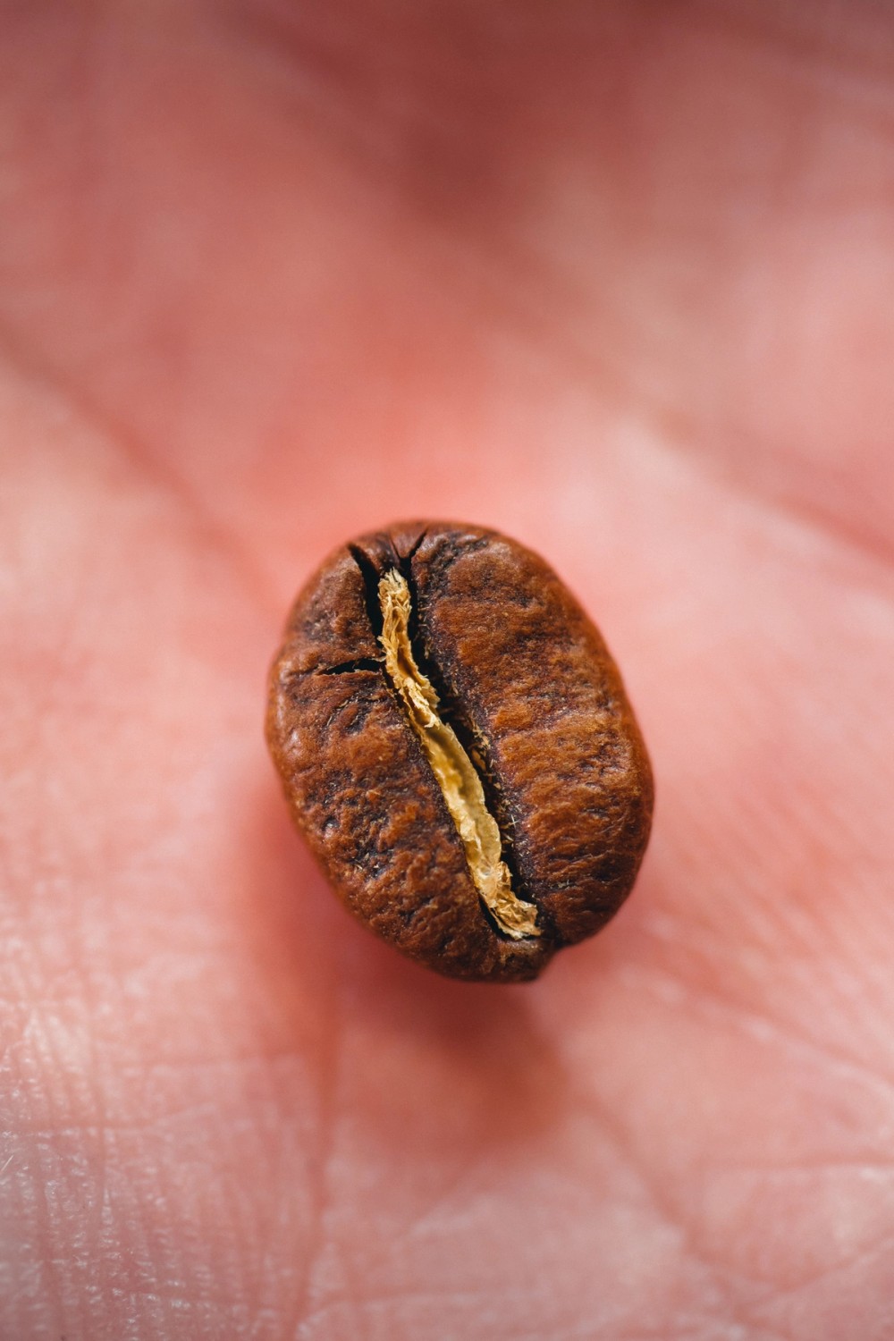 Espresso Details — gallery image
