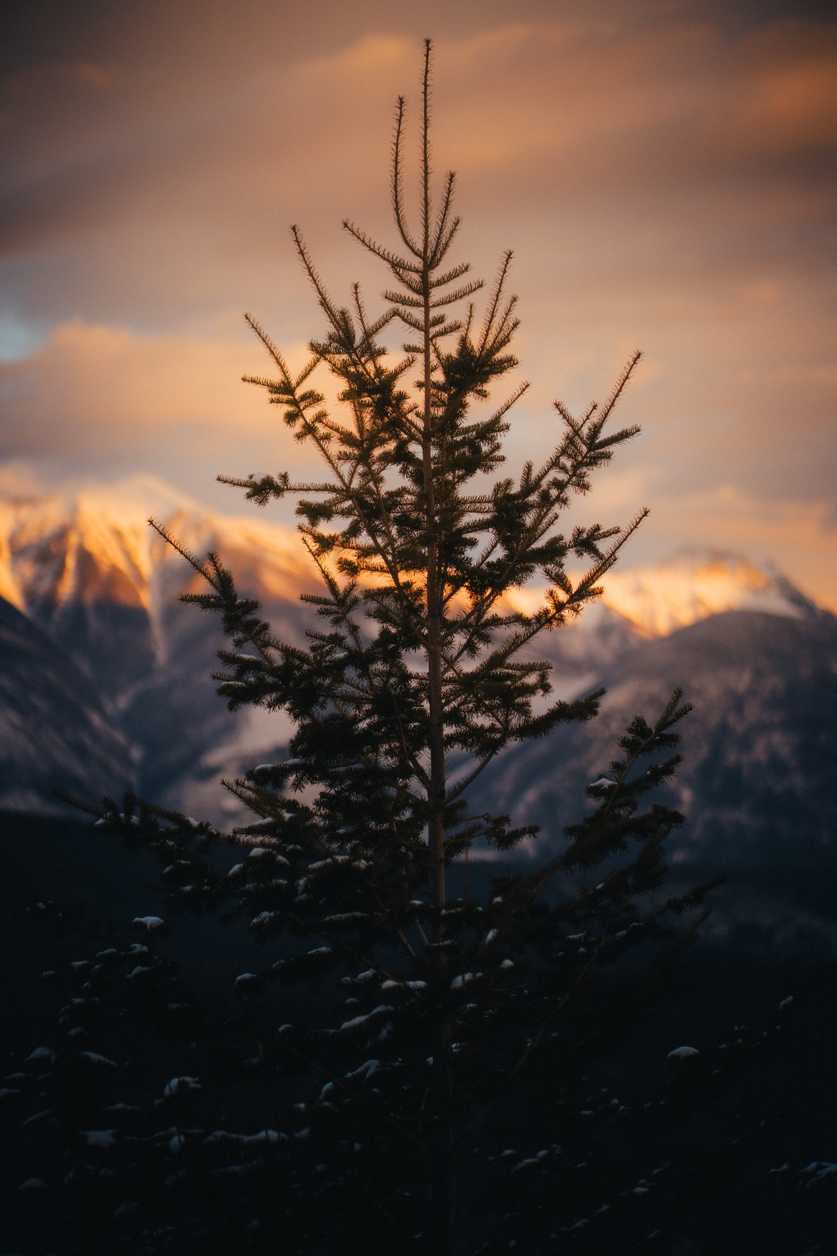 Invermere Sunset — project cover