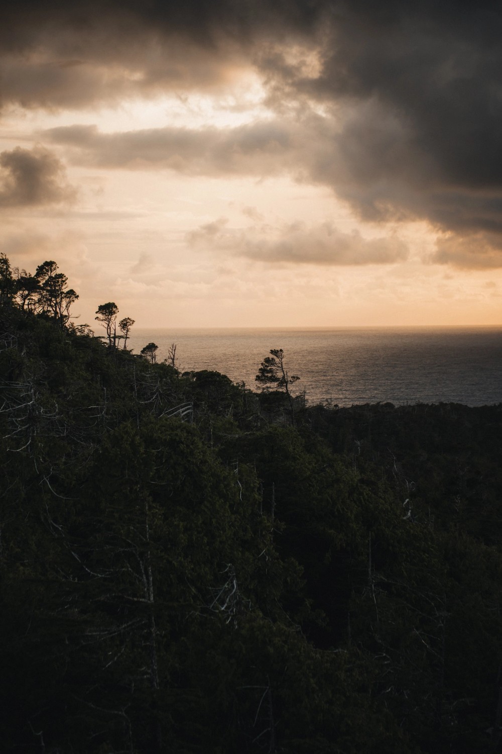 Sunset Over Cox Bay — gallery image