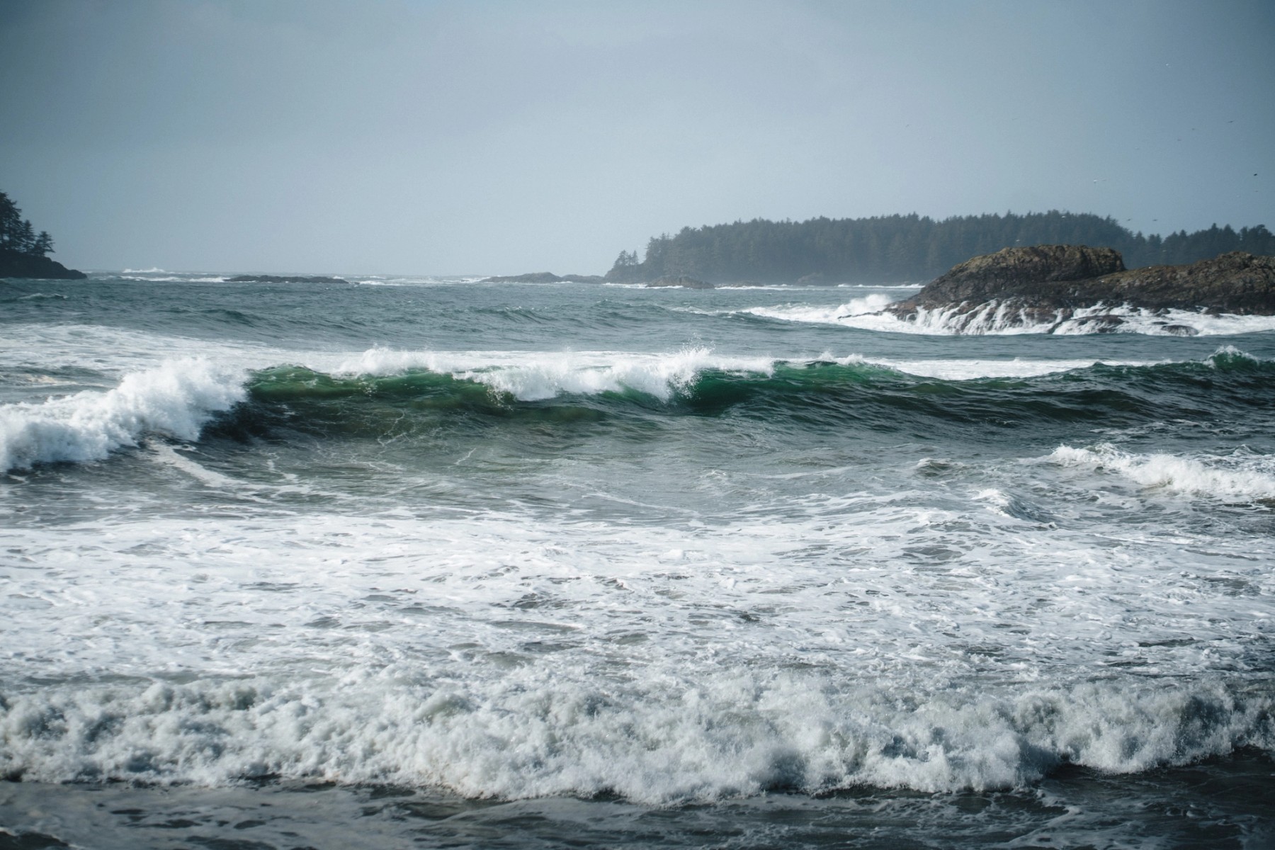 Winter Swell — gallery image