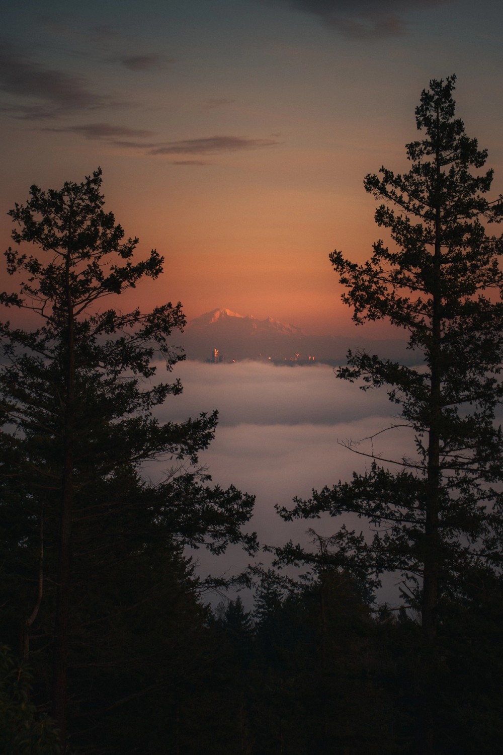 Cypress Lookout Inversion — gallery image