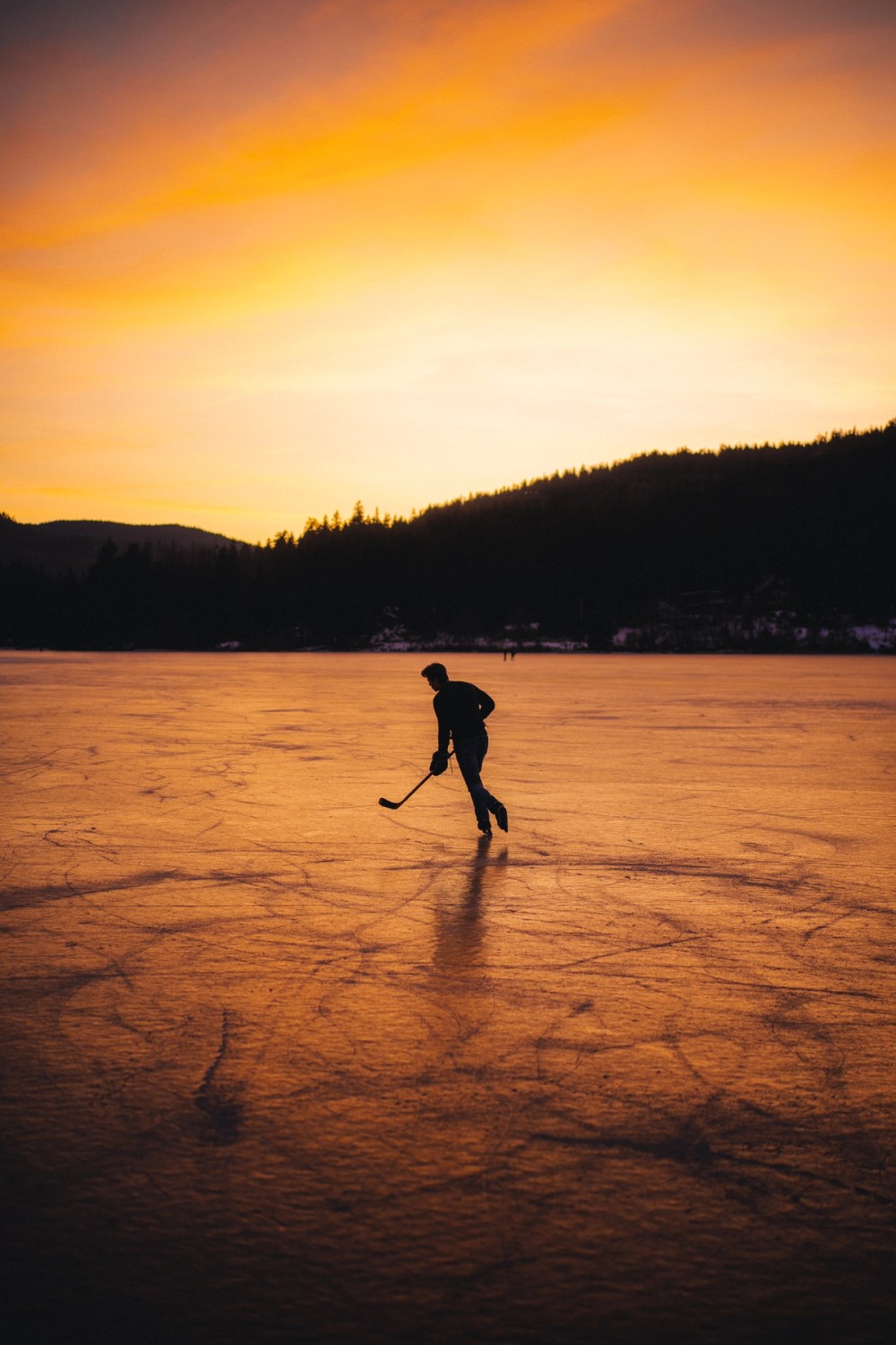Whistler on Ice — gallery image