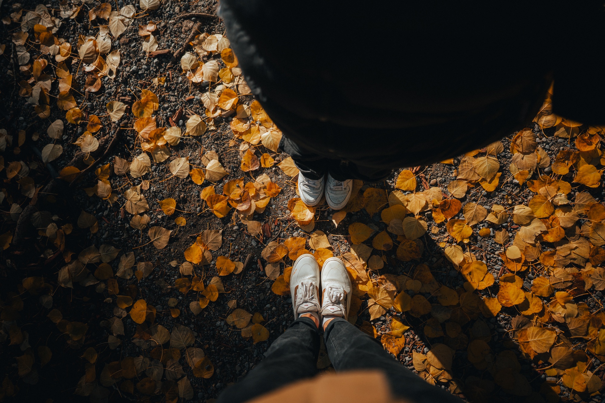 Autumn Colours — project cover