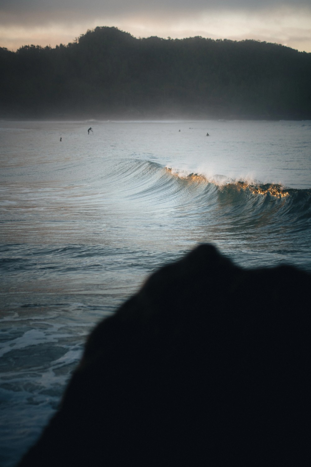 Golden Waves — gallery image