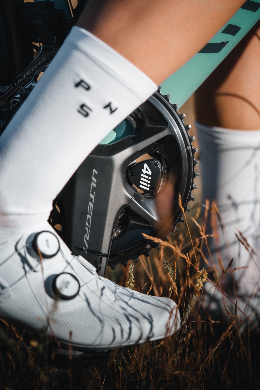 4iiii + Gillian Gowling — gallery image