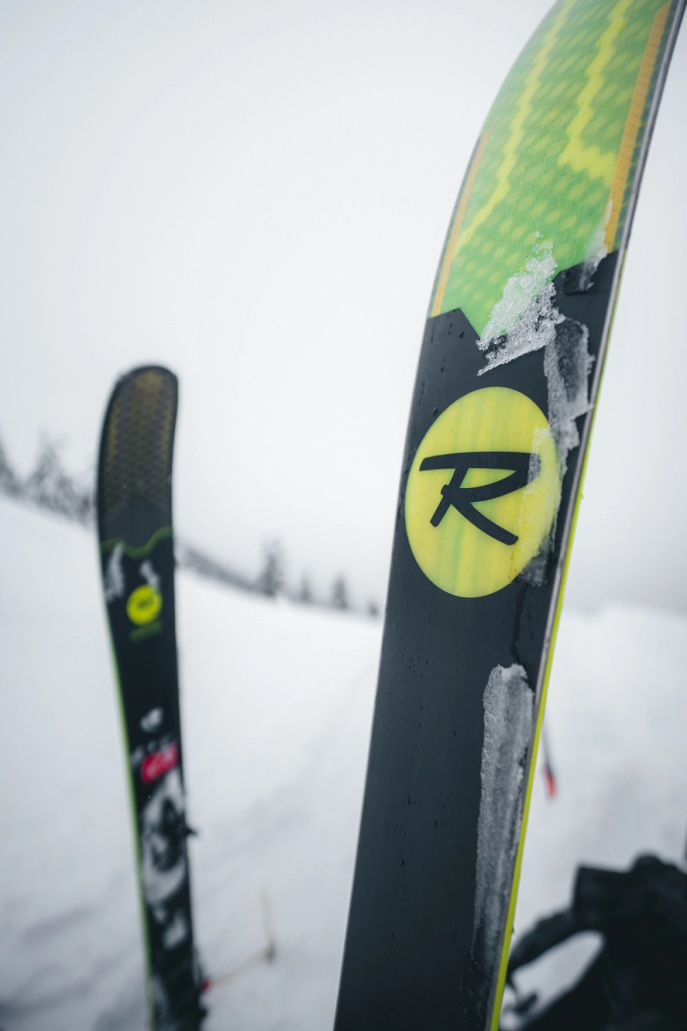 Backcountry Skiing Transition — gallery image