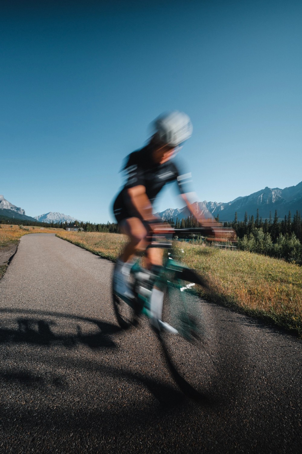 4iiii + Gillian Gowling — gallery image