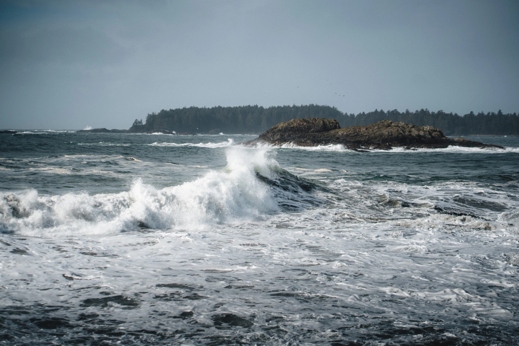 Winter Swell — gallery image