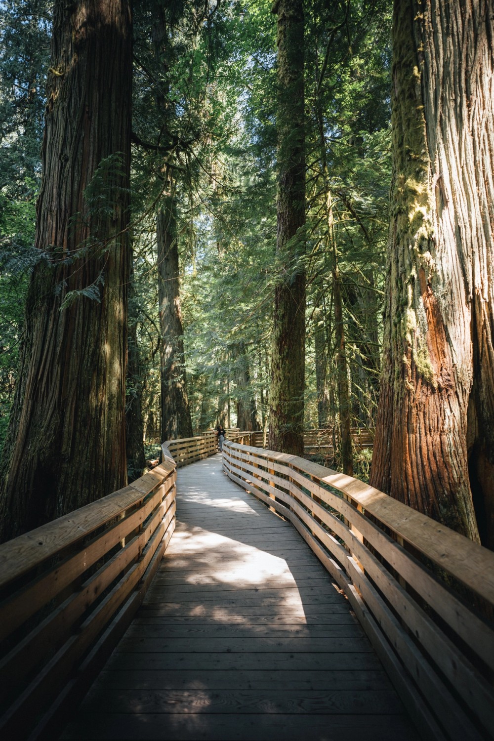 Mackenzie Beach — gallery image