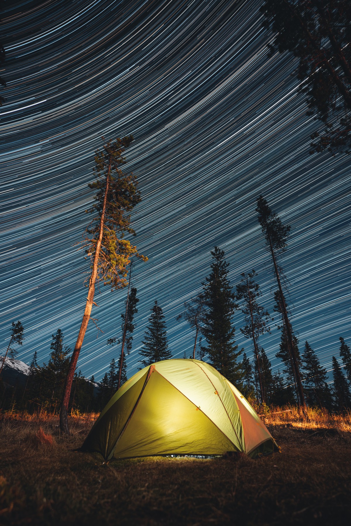 Star Trails Over Jasper