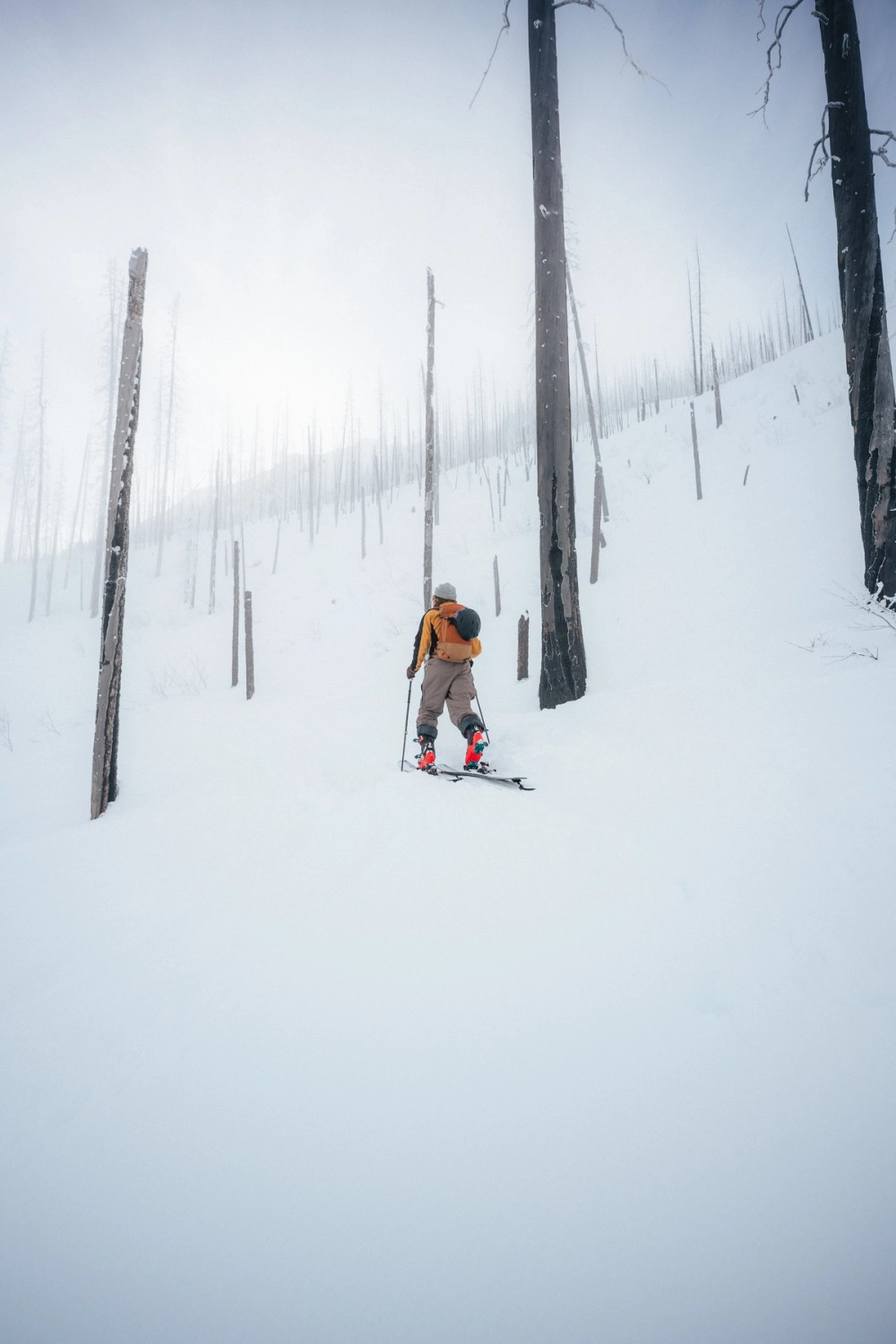 Vermillion Crossing Backcountry Skiing — gallery image