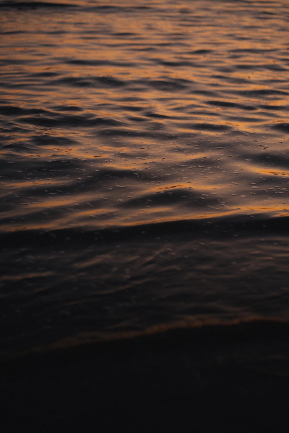 Mackenzie Beach — gallery image