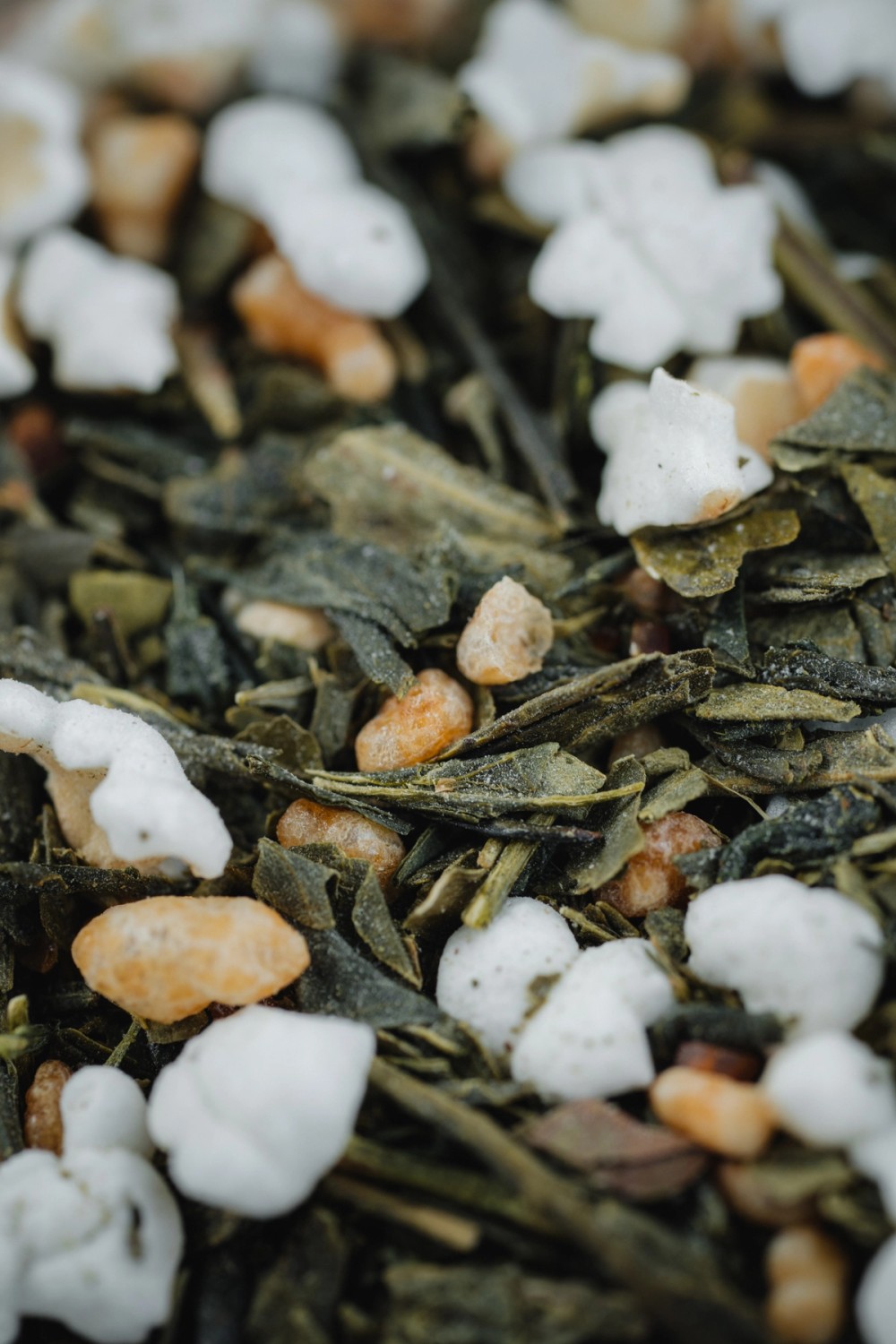 Radical Mullet Tea Shoot 1 — gallery image