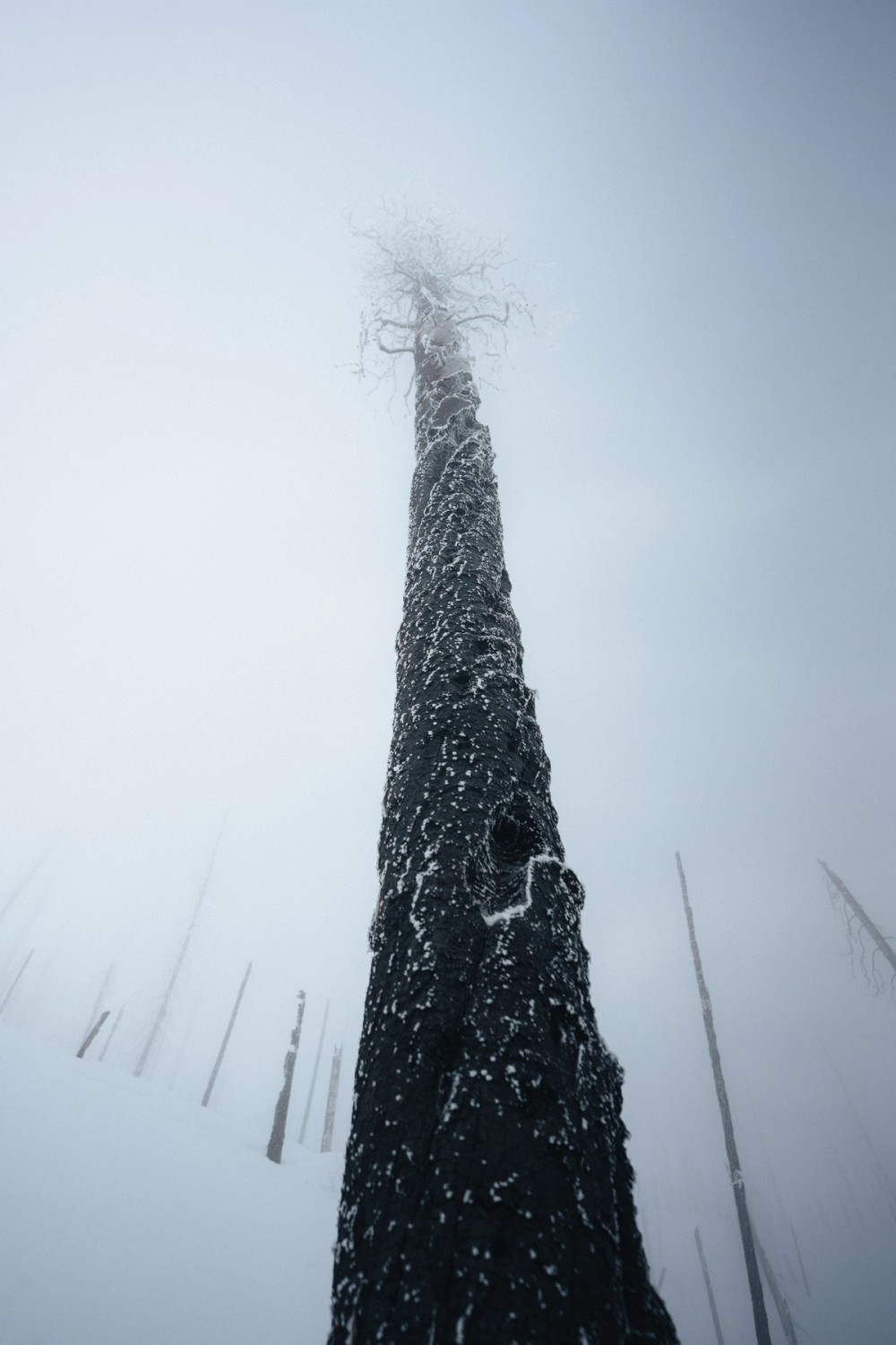 Vermillion Crossing Backcountry Skiing — gallery image