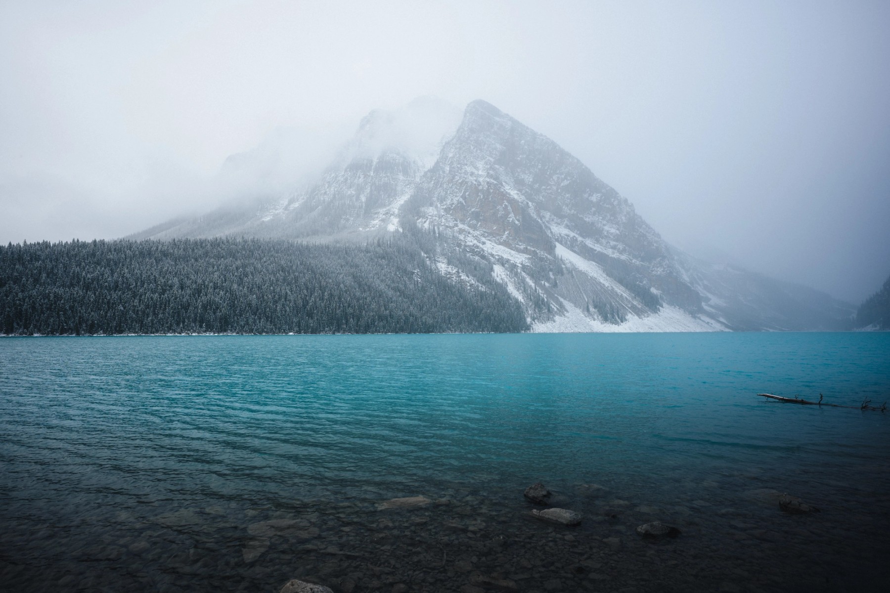 Lake Louise First Snowfall — gallery image