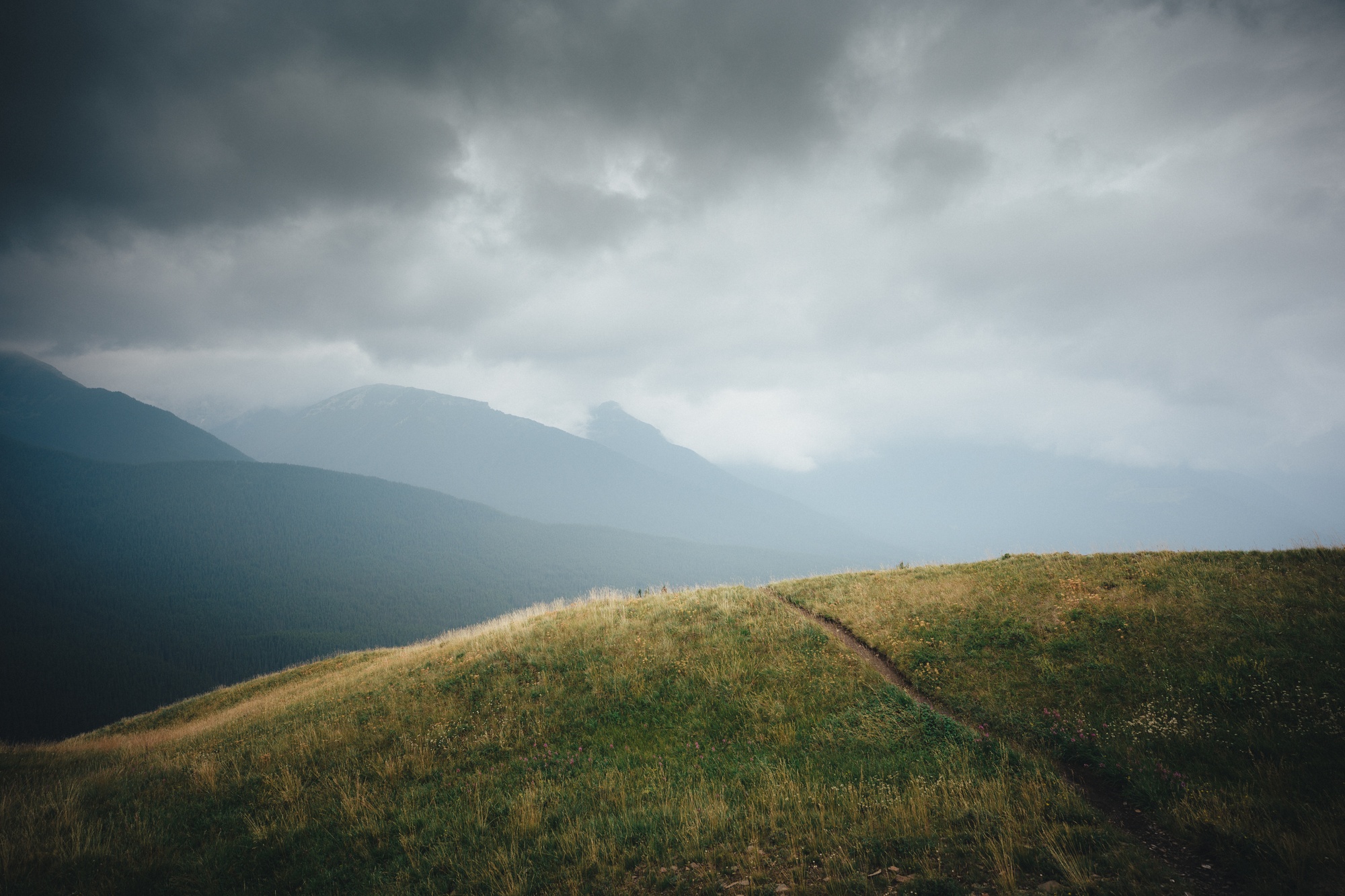 Pidgeon Peak — project cover