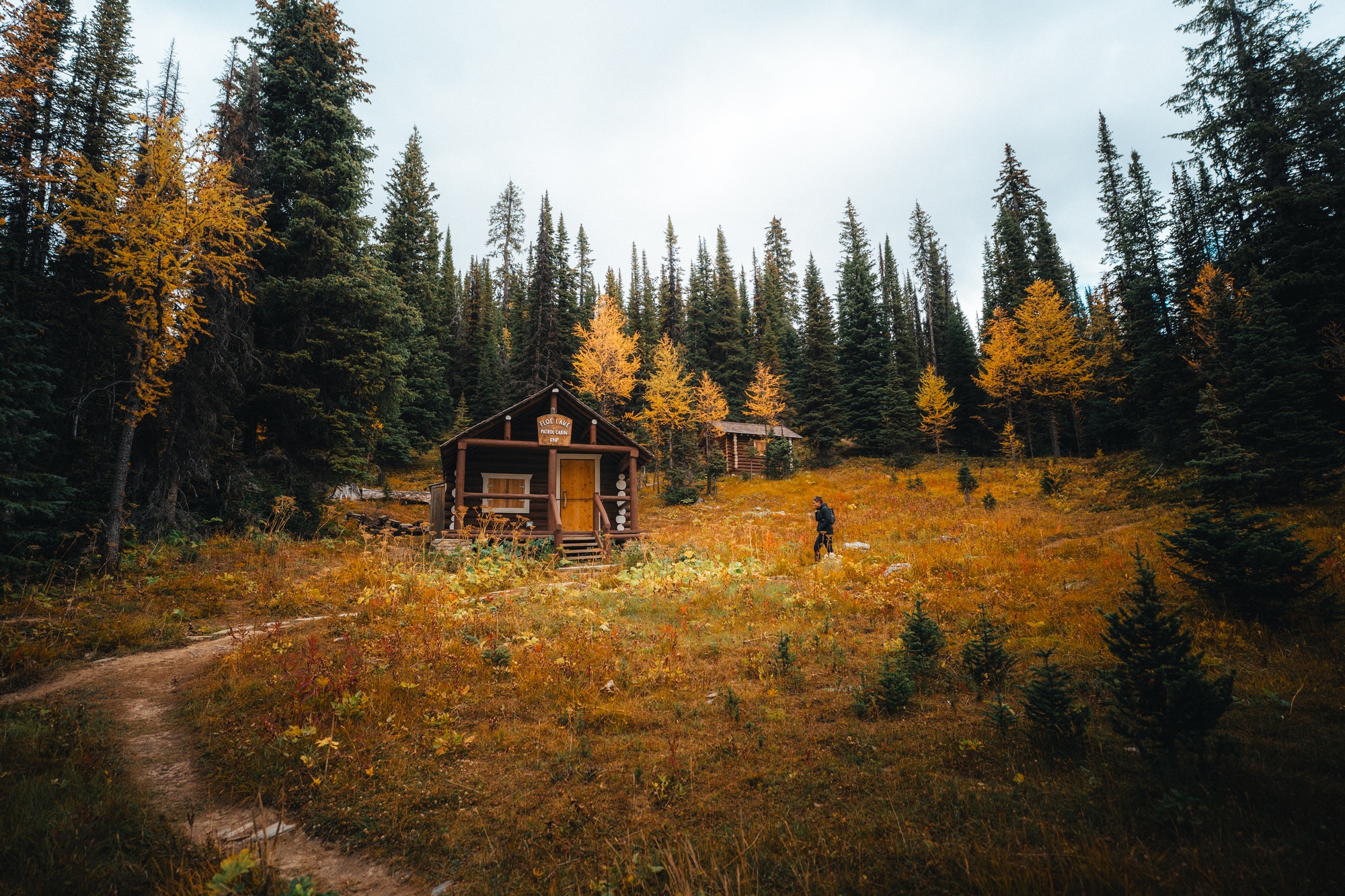 Floe Lake — project cover