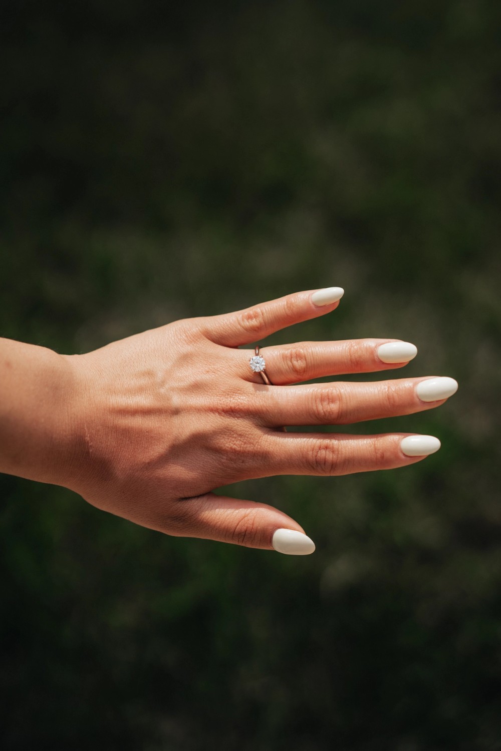 Meaghan & Alexis Forever — gallery image