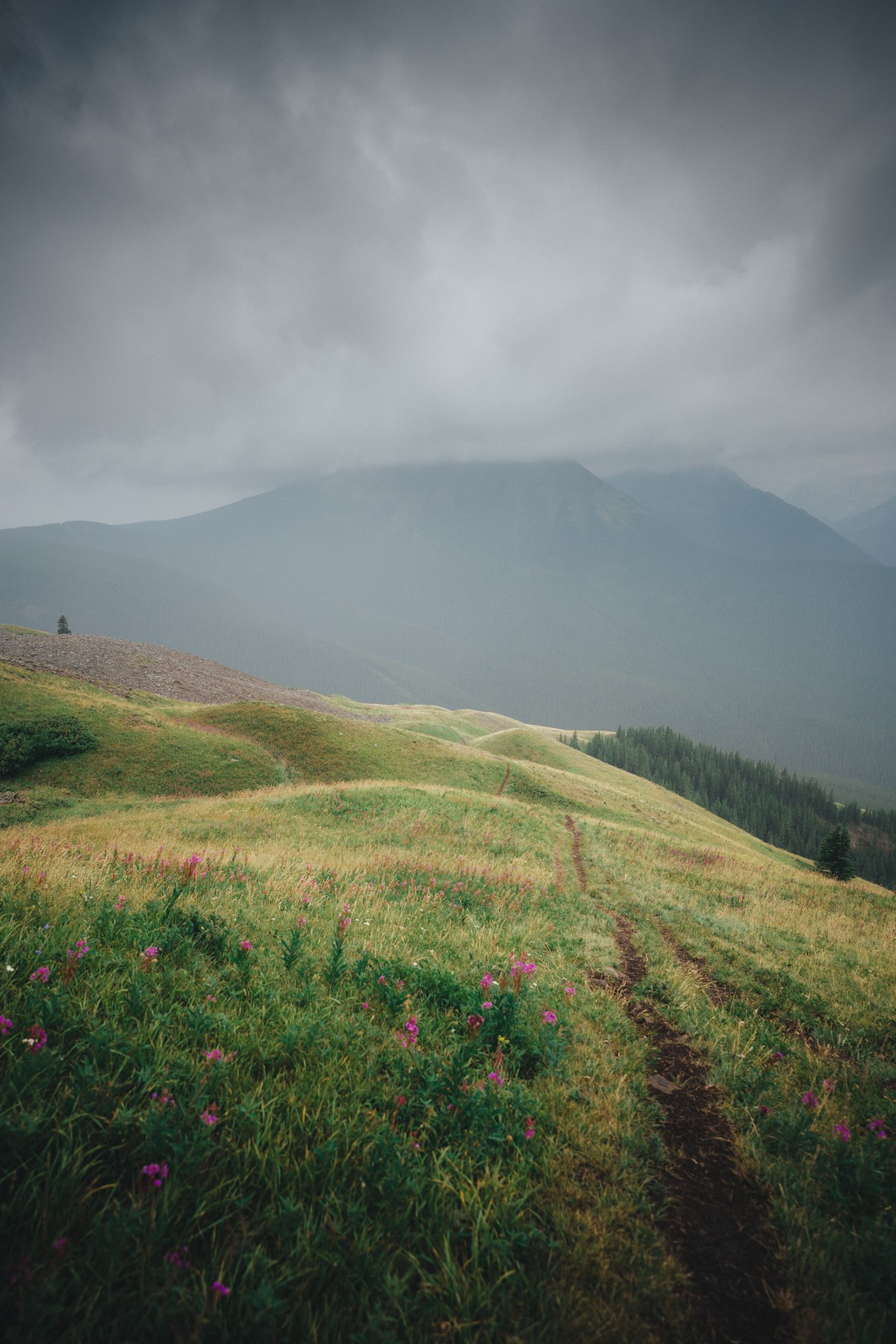 Pidgeon Peak