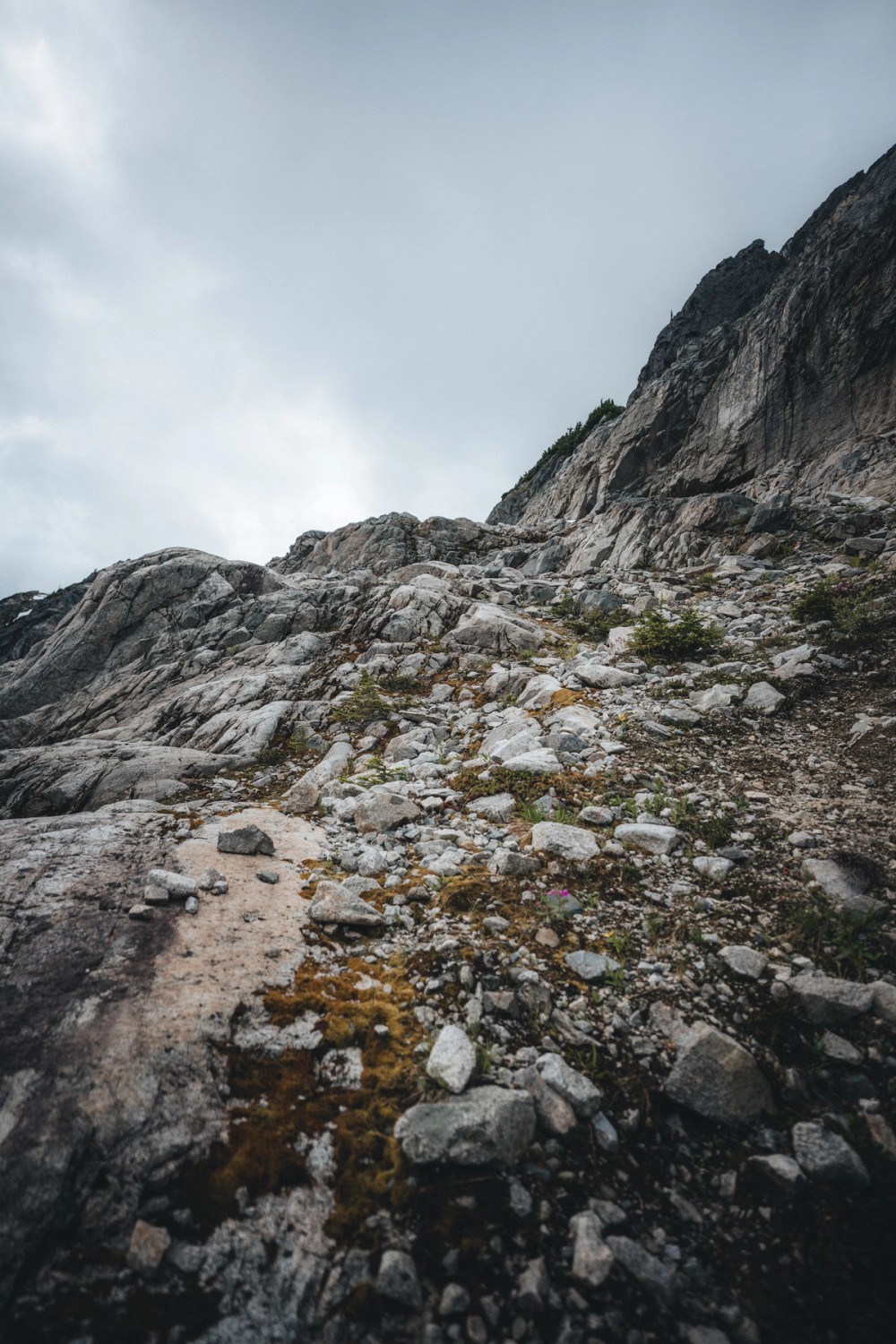 Iceberg Lake Flow — gallery image