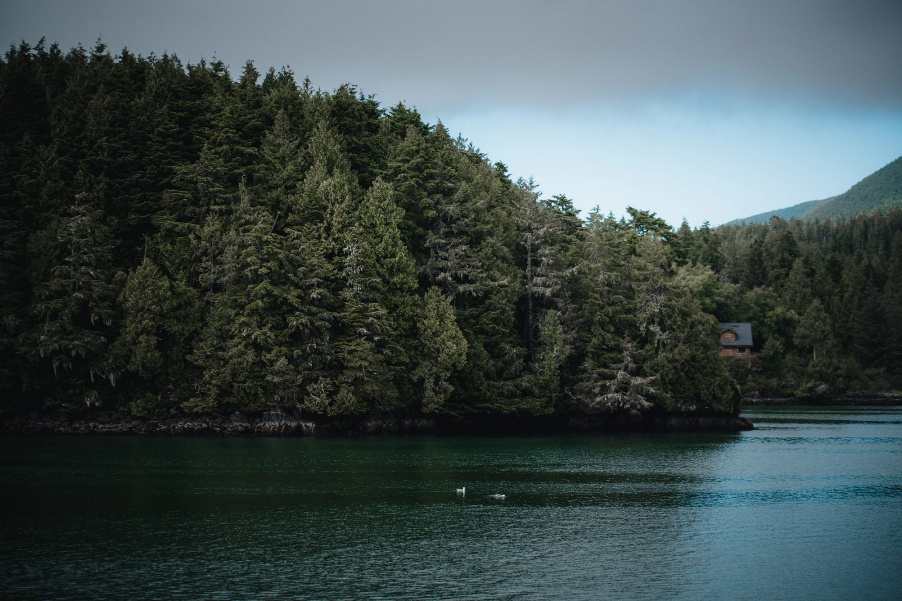 Ucluelet — gallery image