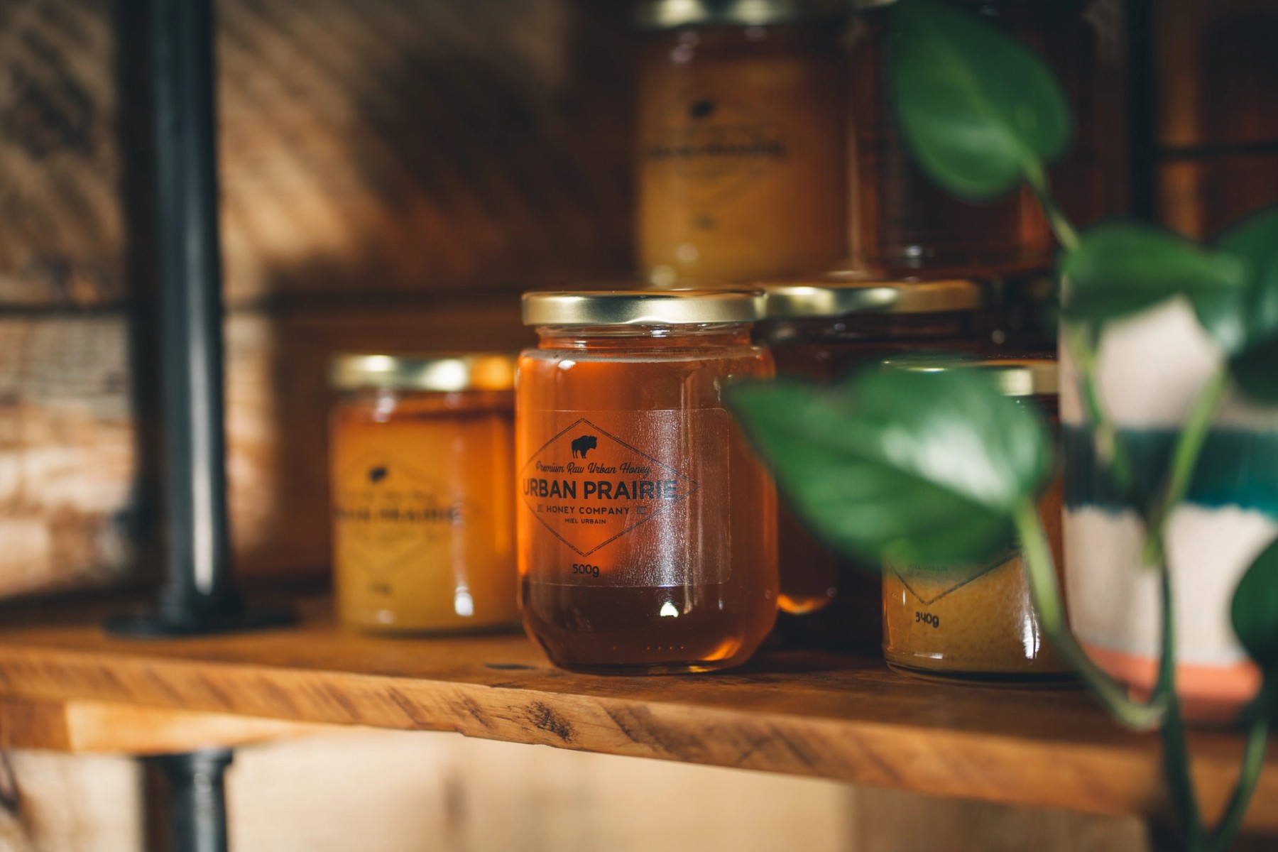 Urban Prairie Honey Company — gallery image