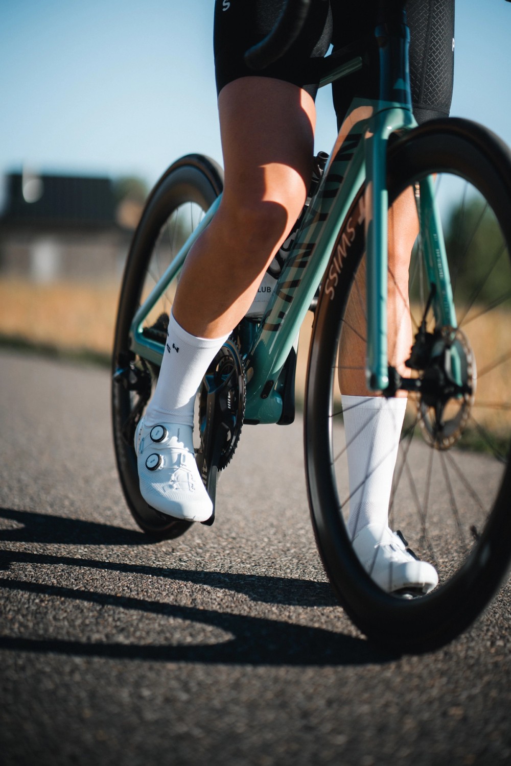 4iiii + Gillian Gowling — gallery image