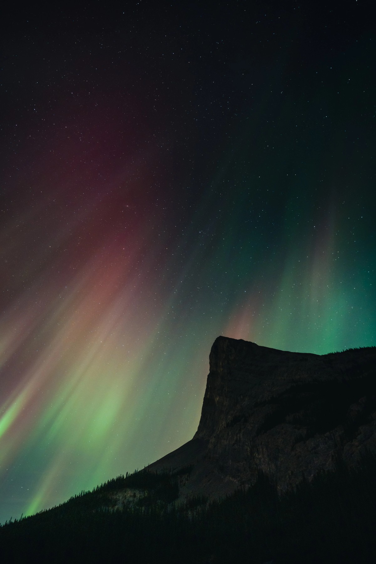 Reservoir Auroras — project cover