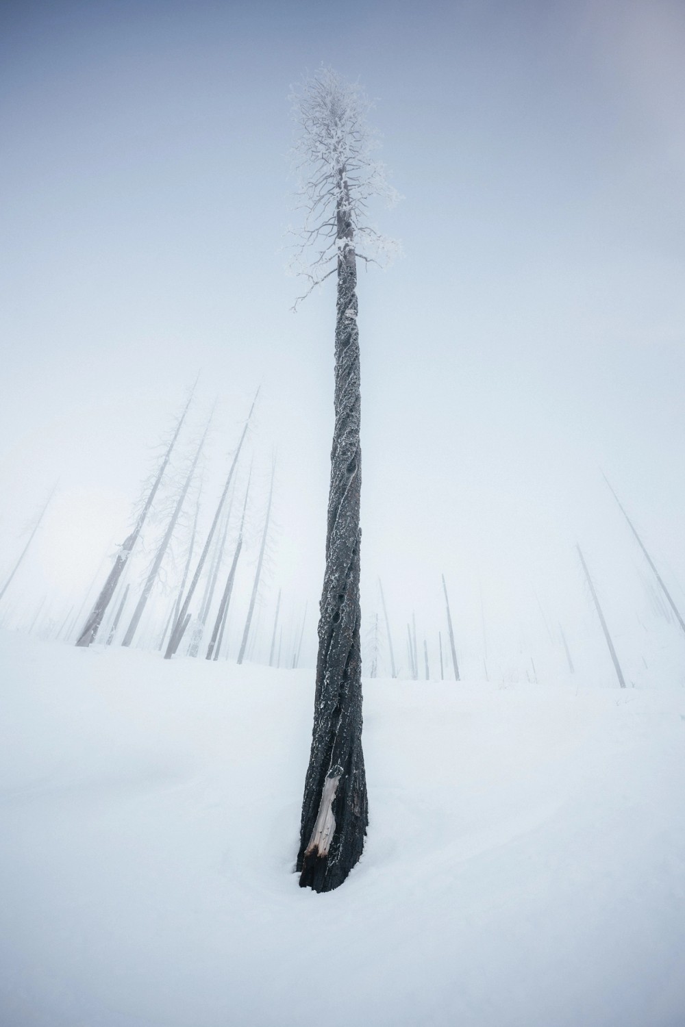 Vermillion Crossing Backcountry Skiing — gallery image