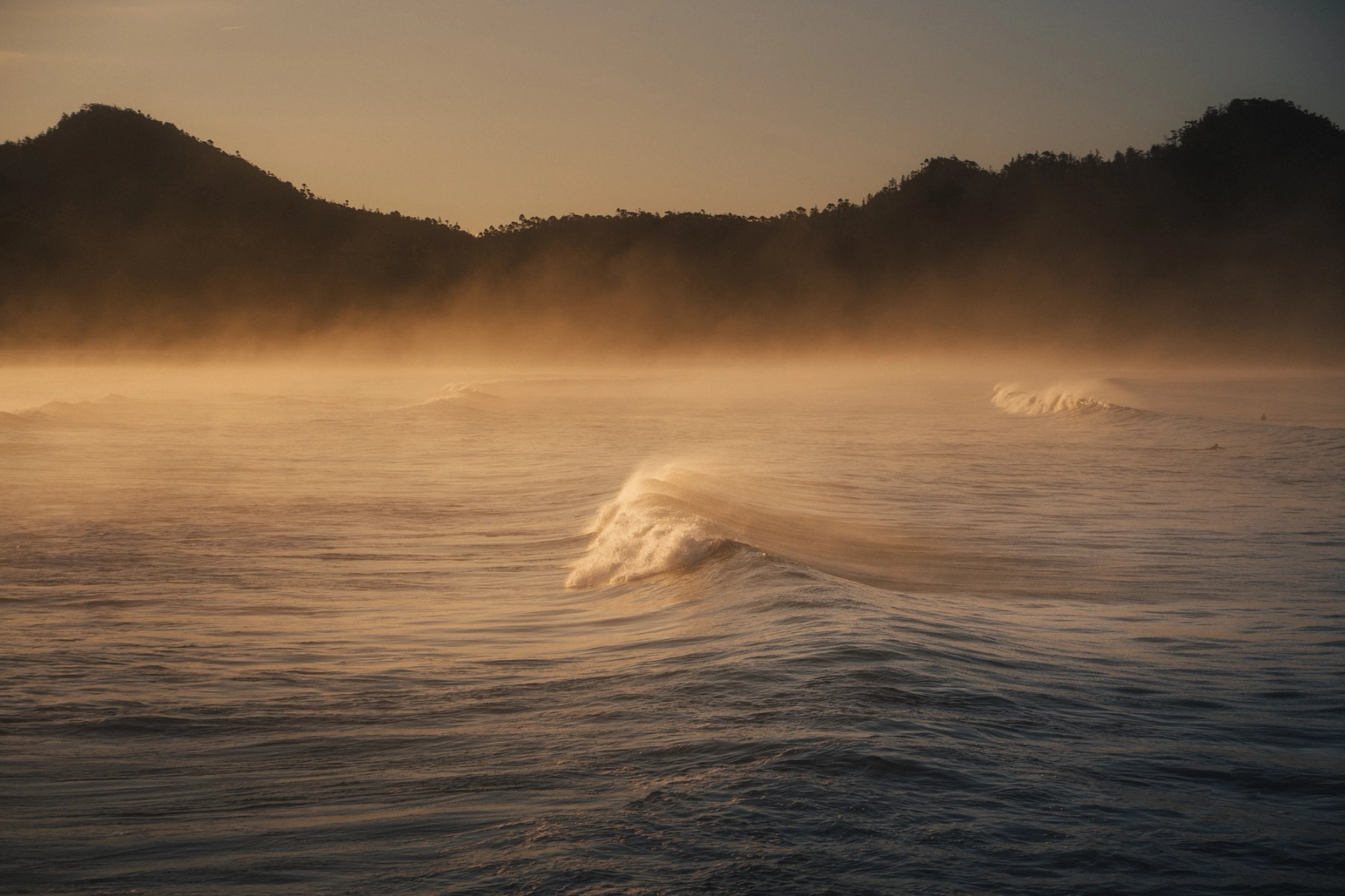 Golden Waves — gallery image