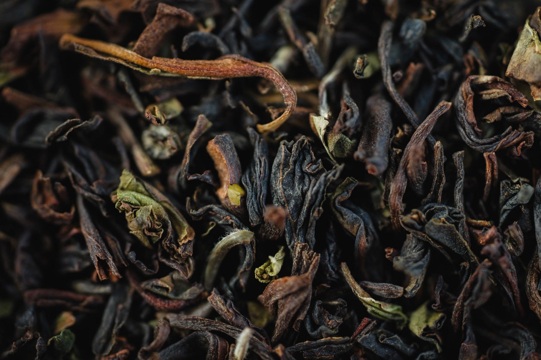 Radical Mullet Tea Shoot 1 — gallery image