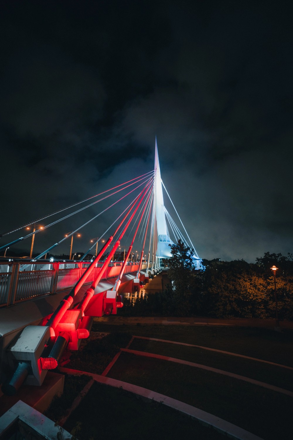 Winnipeg by Night — gallery image