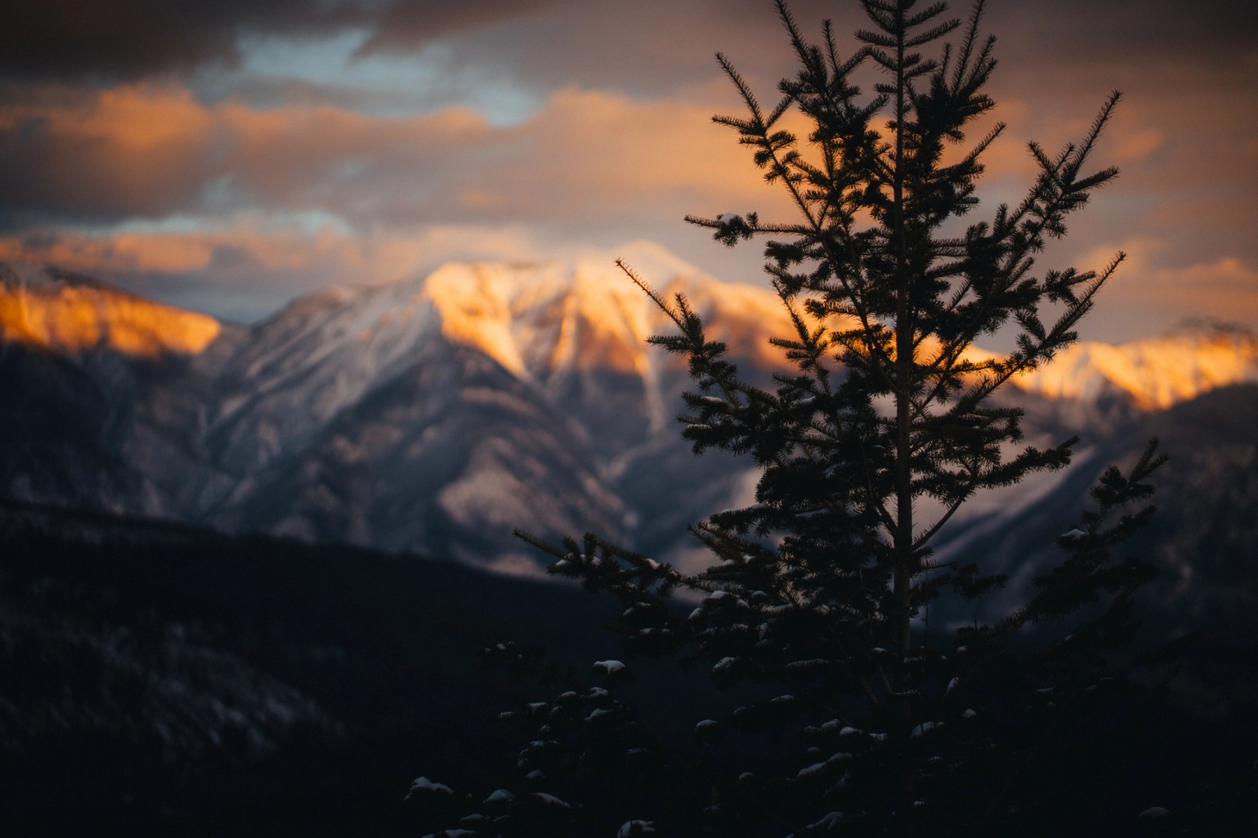 Invermere Sunset — gallery image