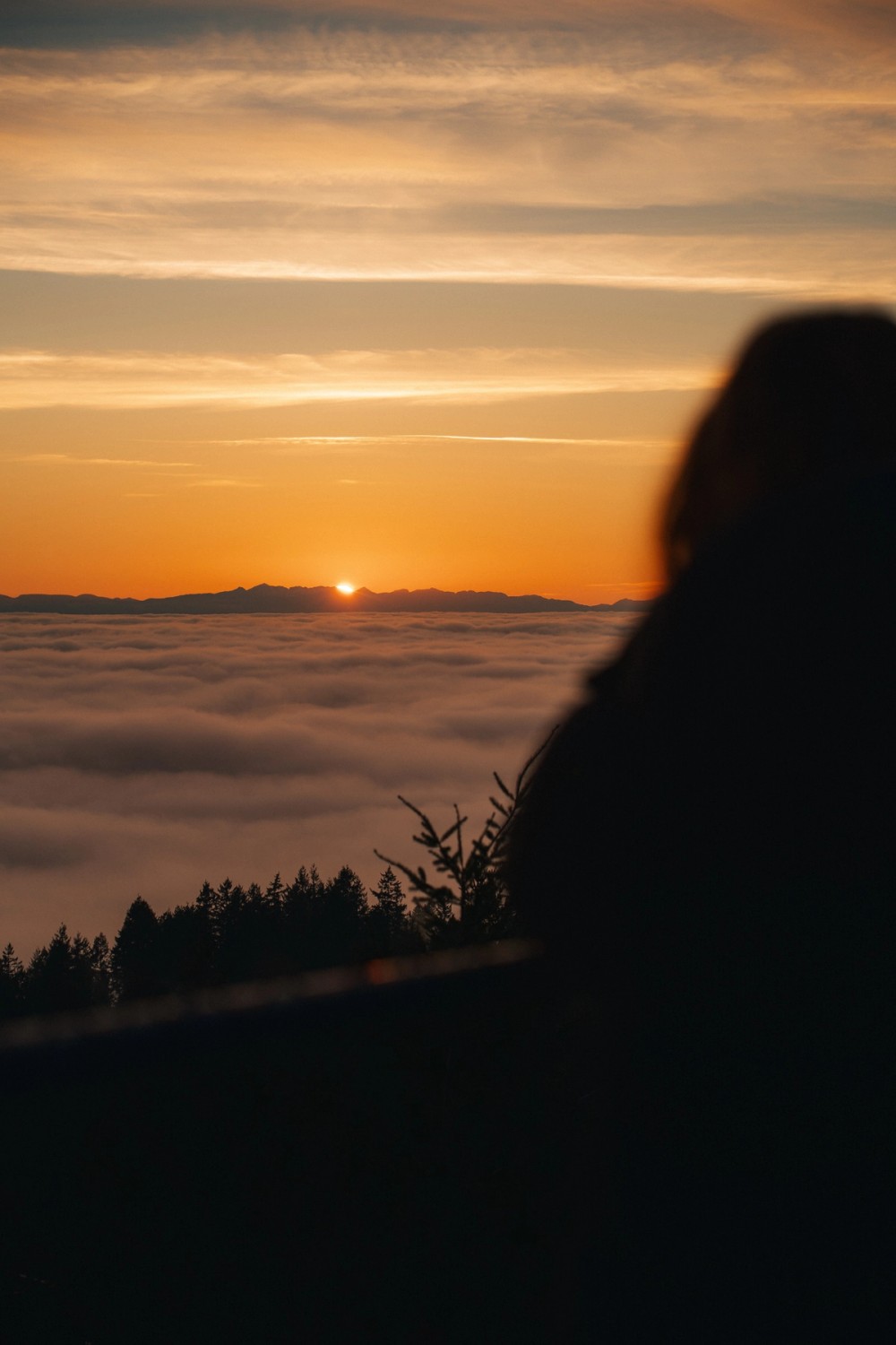 Cypress Lookout Inversion — gallery image