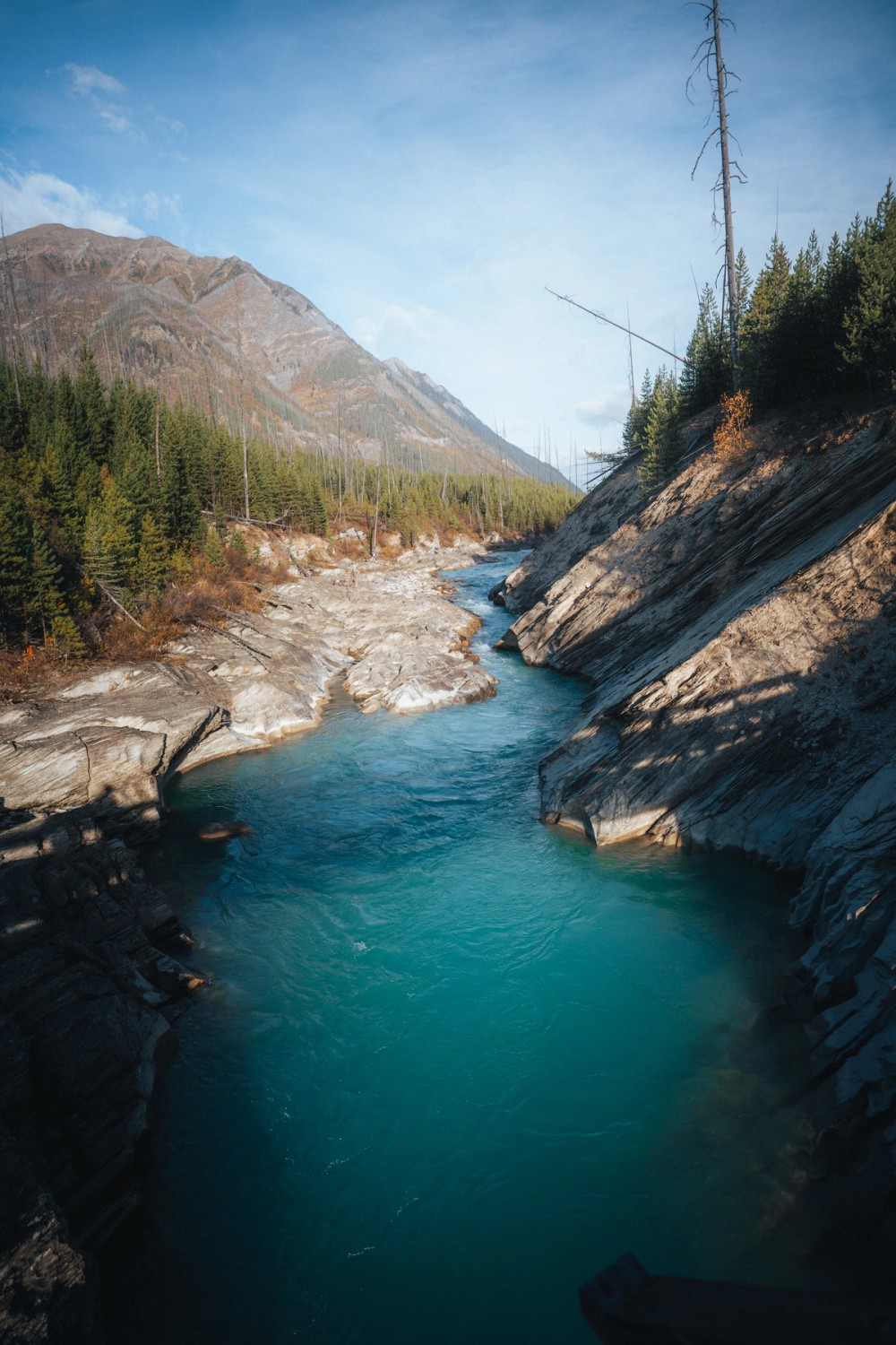 Floe Lake — gallery image