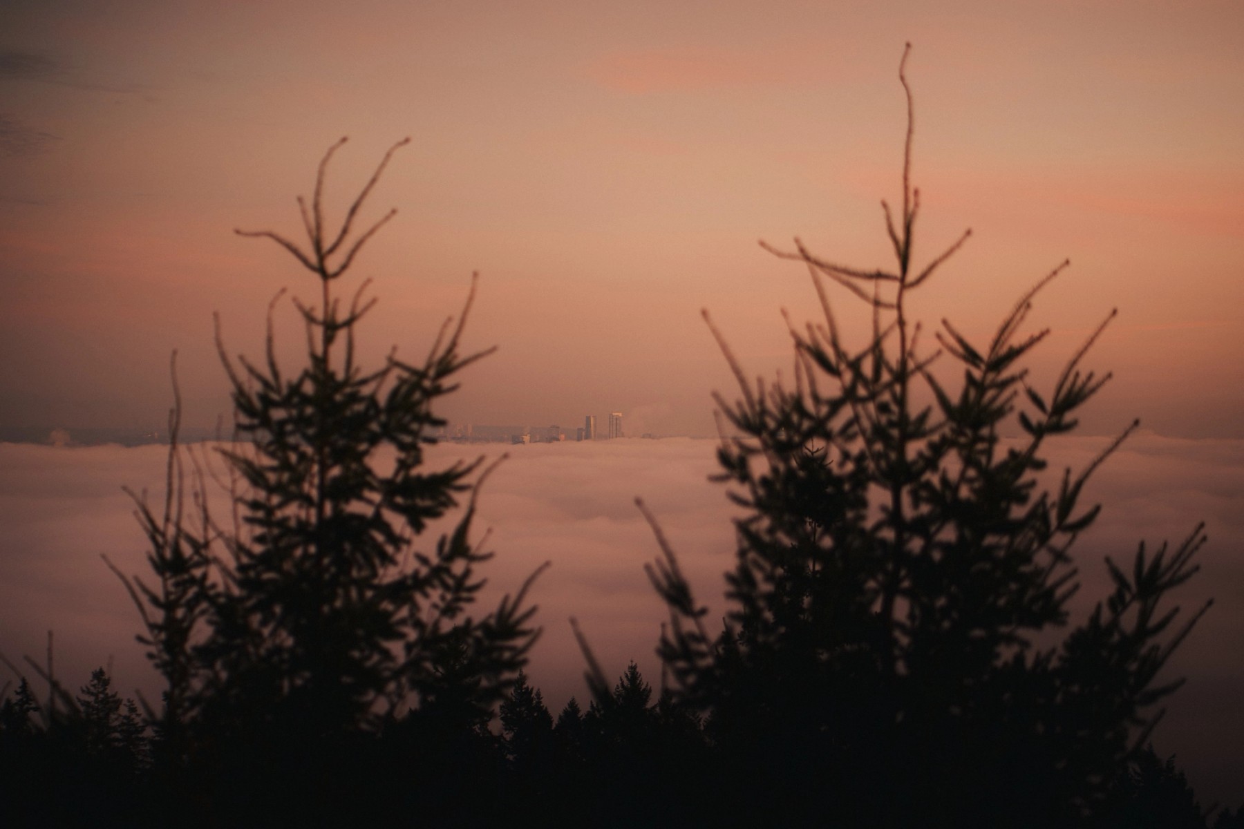 Cypress Lookout Inversion — gallery image