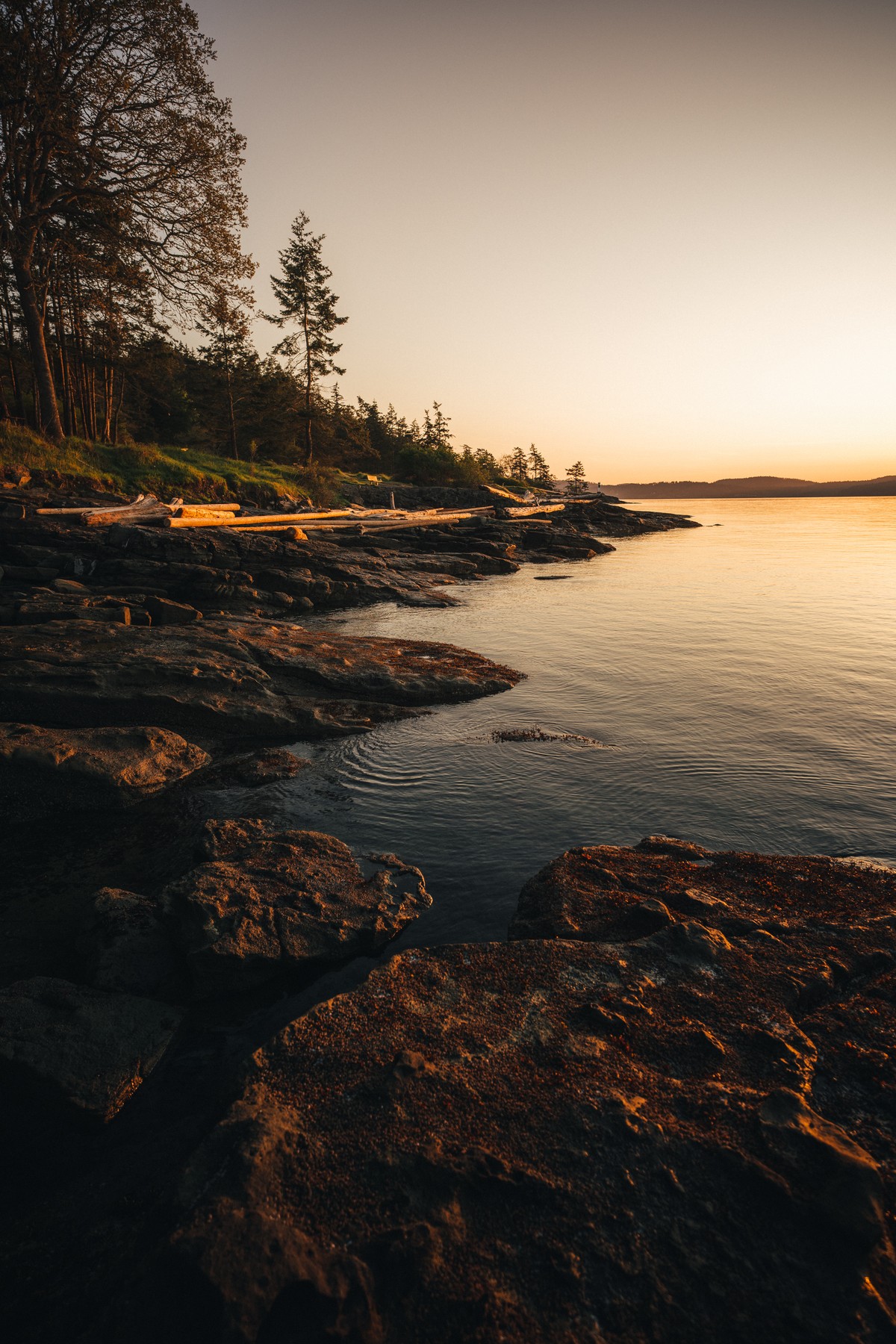 Salt Spring Island — project cover