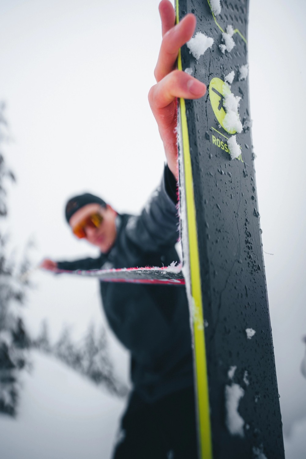 Backcountry Skiing Transition — gallery image