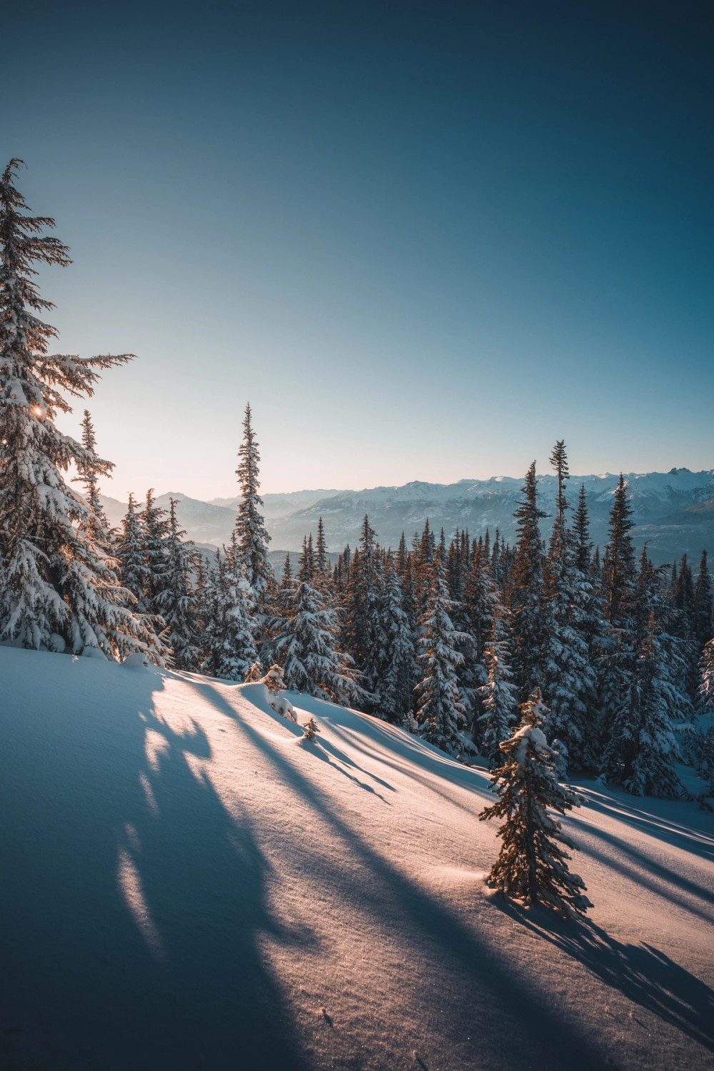 Whistler Sunset Ski Touring — gallery image